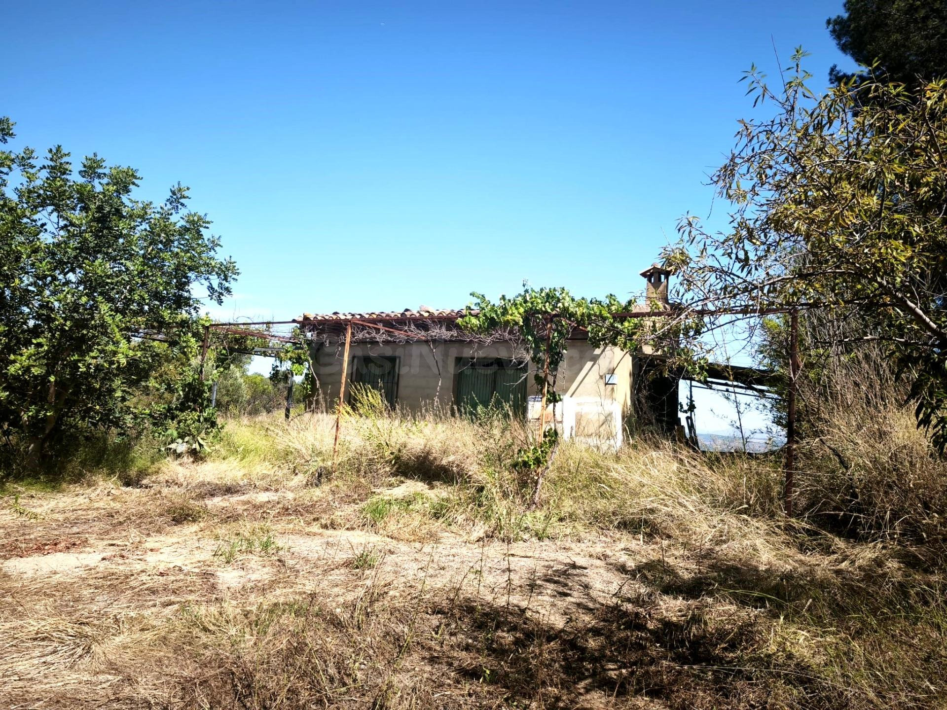 Oportunidad Única: Casa con Terreno en La Llosa de Ranes por - foto 3