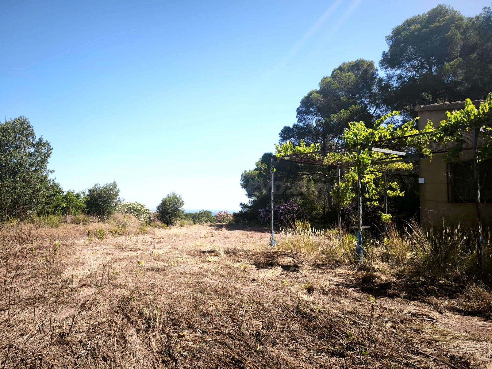 Oportunidad Única: Casa con Terreno en La Llosa de Ranes por - foto 4