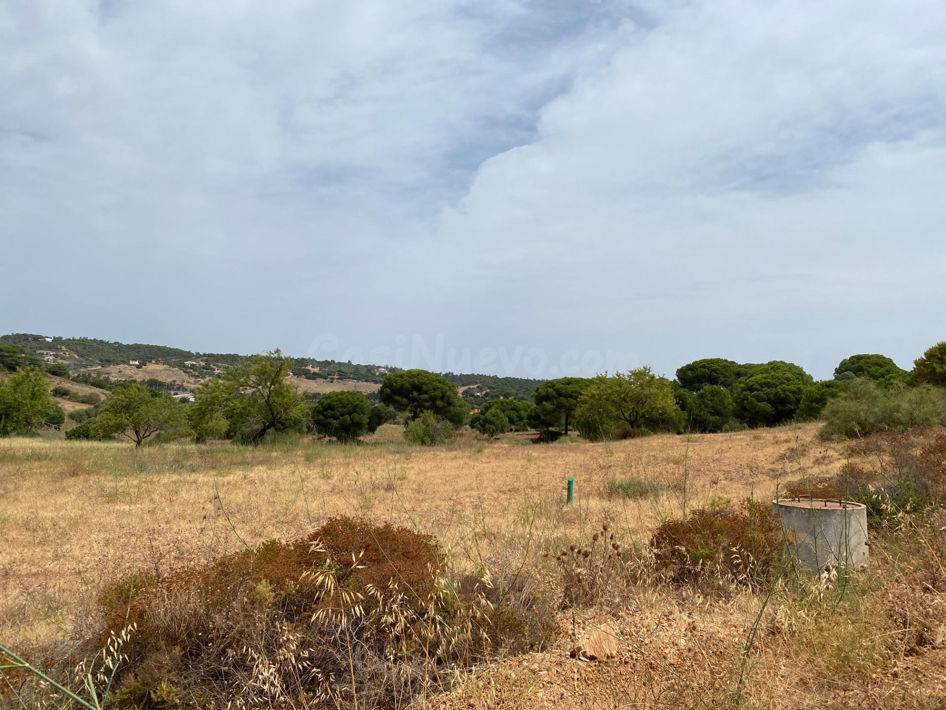 Finca rústica de 5 hectáreas a solo 5 minutos de Ayamonte