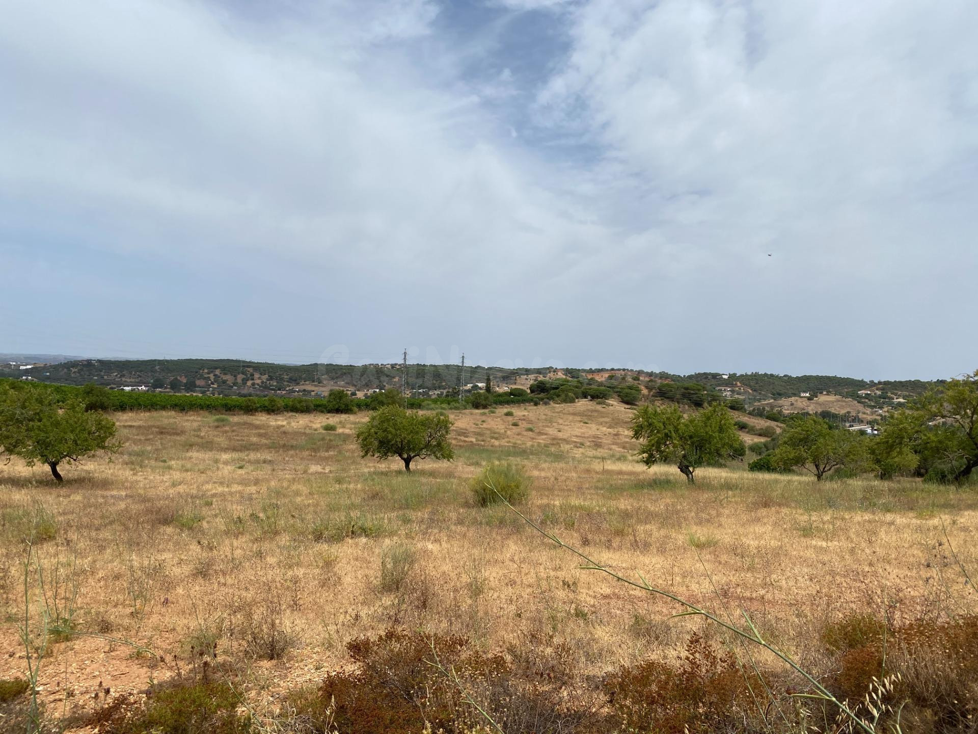 Finca rústica de 5 hectáreas a solo 5 minutos de Ayamonte - foto 2