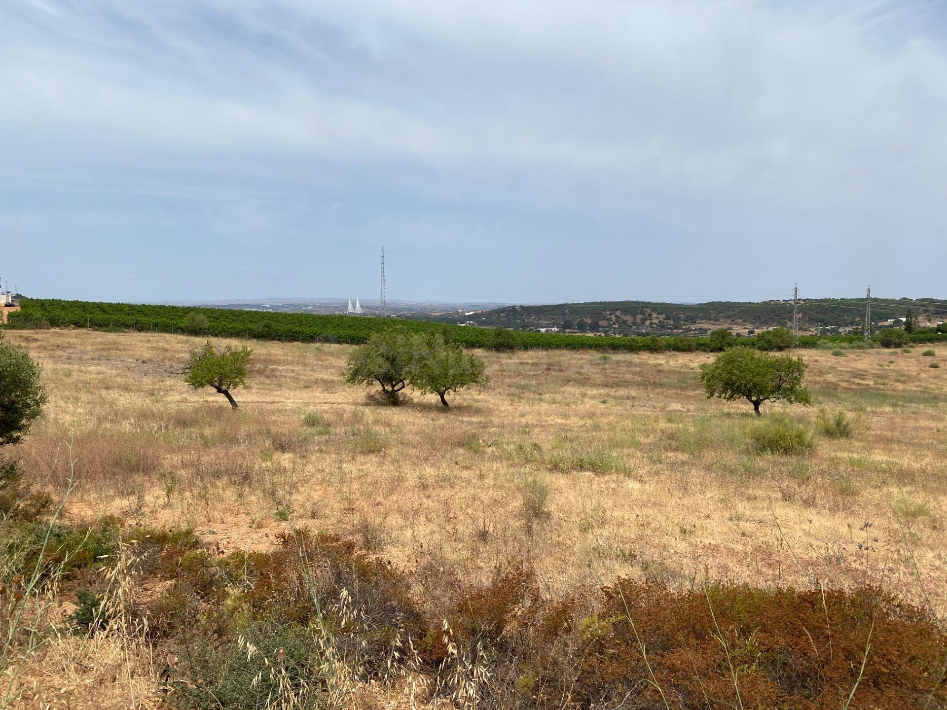 Finca rústica de 5 hectáreas a solo 5 minutos de Ayamonte - foto 3