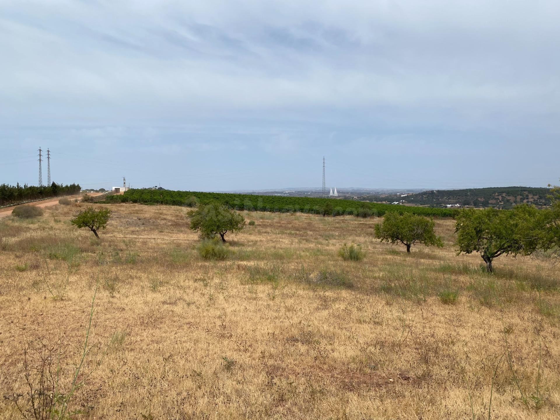 Finca rústica de 5 hectáreas a solo 5 minutos de Ayamonte - foto 4