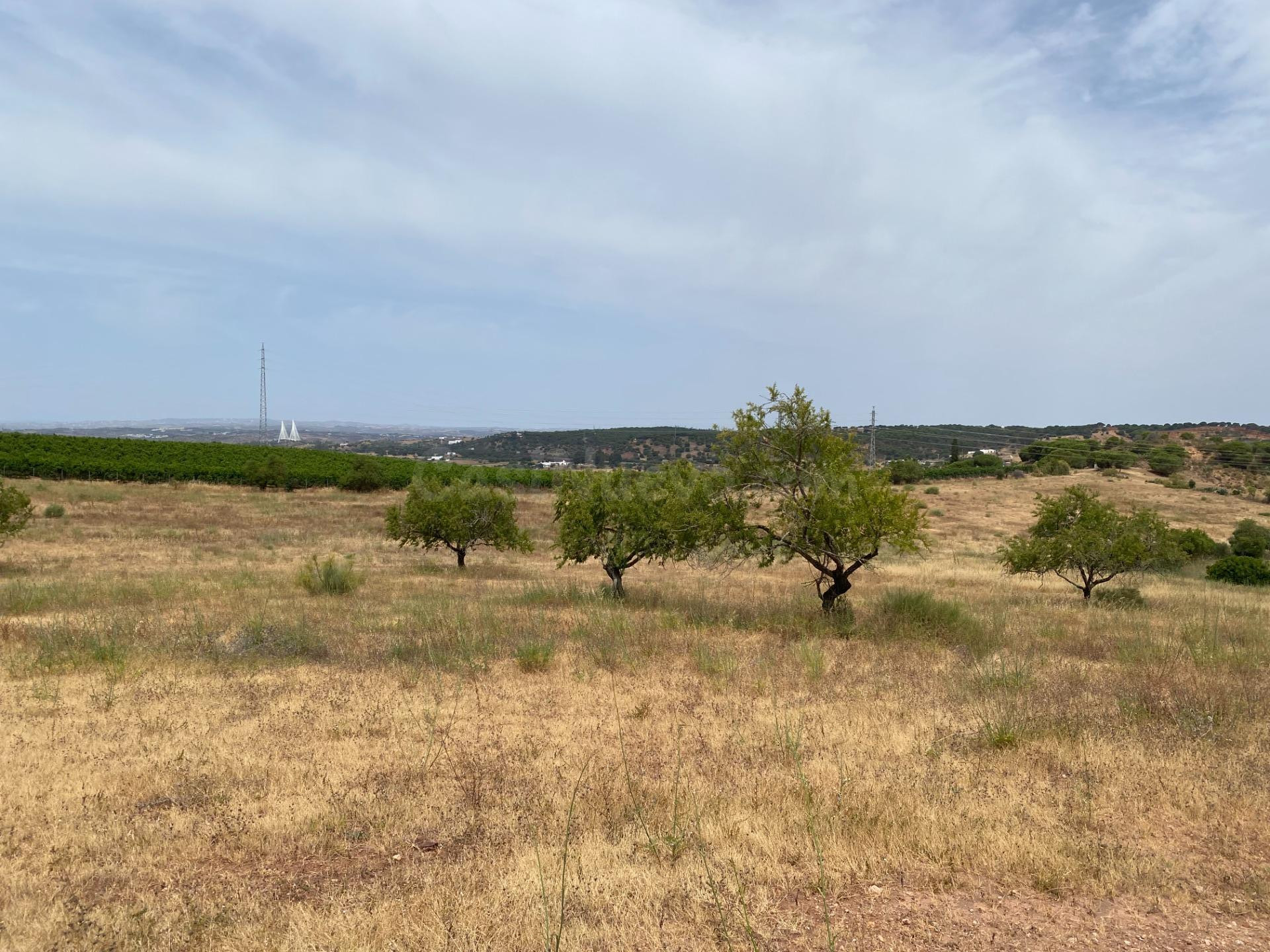 Finca rústica de 5 hectáreas a solo 5 minutos de Ayamonte - foto 5