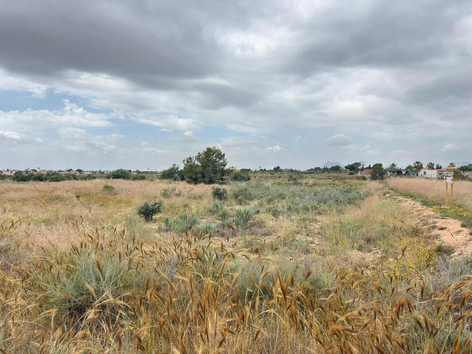 Parcela Rústica Agraria en Los Girasoles: Un Refugio Natural