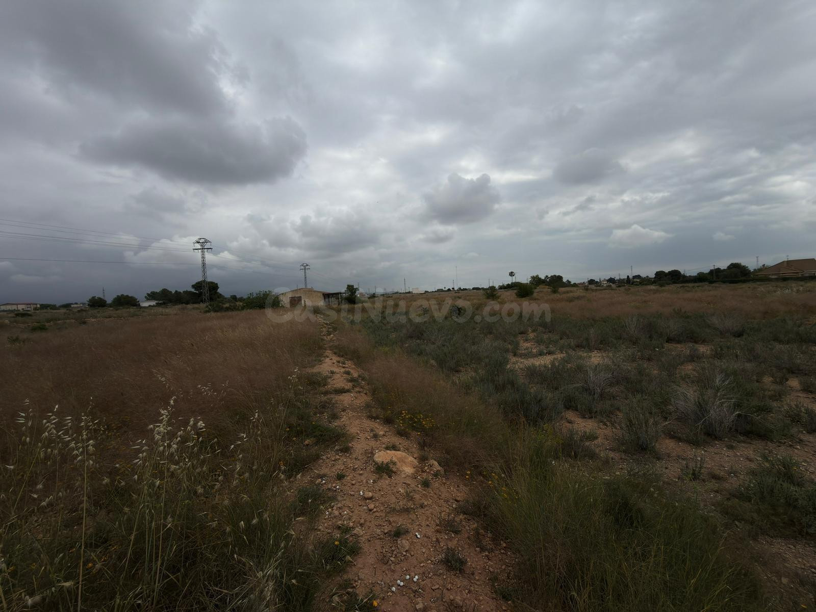 Parcela Rústica Agraria en Los Girasoles: Un Refugio Natural - foto 2