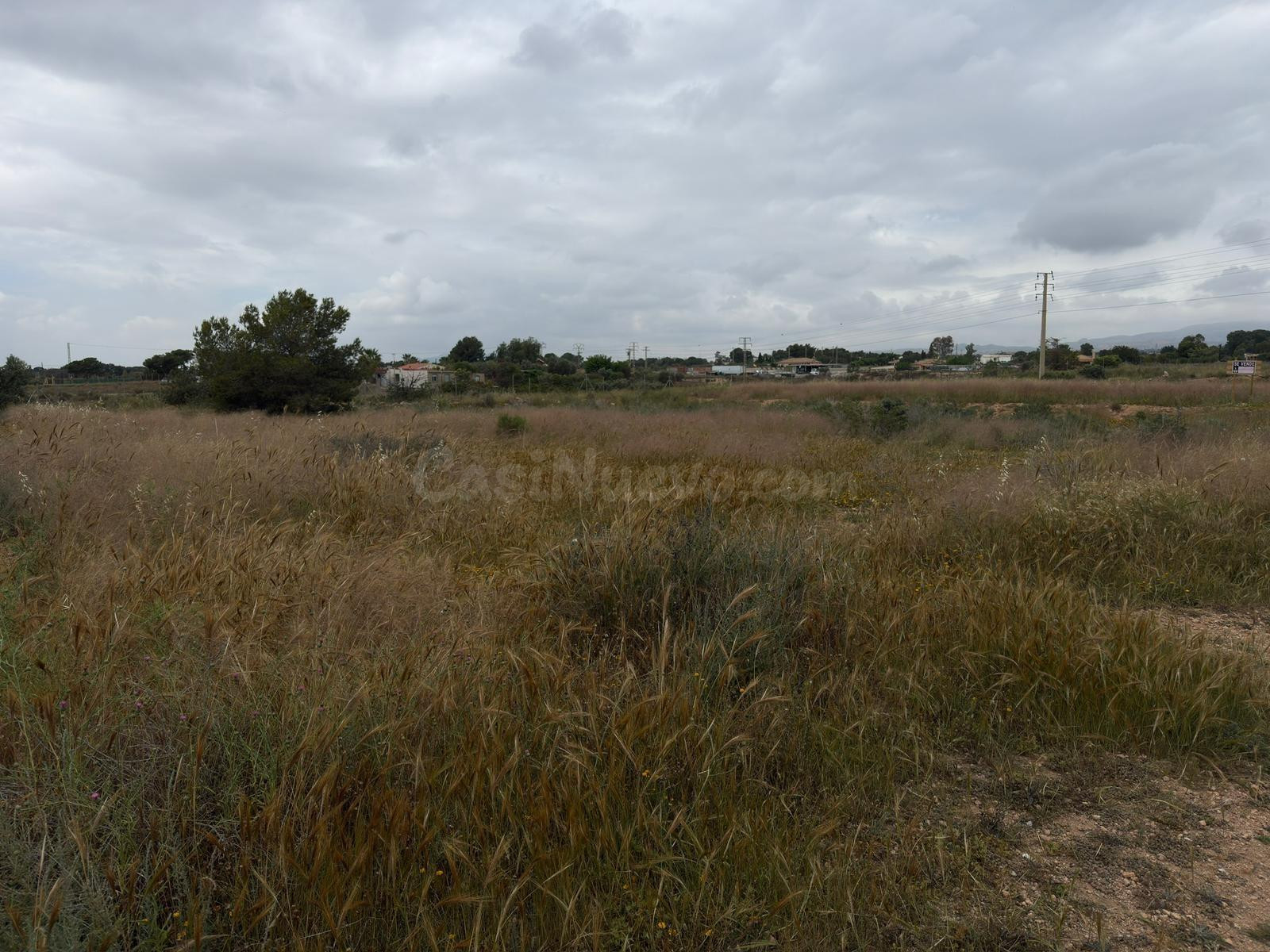 Parcela Rústica Agraria en Los Girasoles: Un Refugio Natural - foto 3