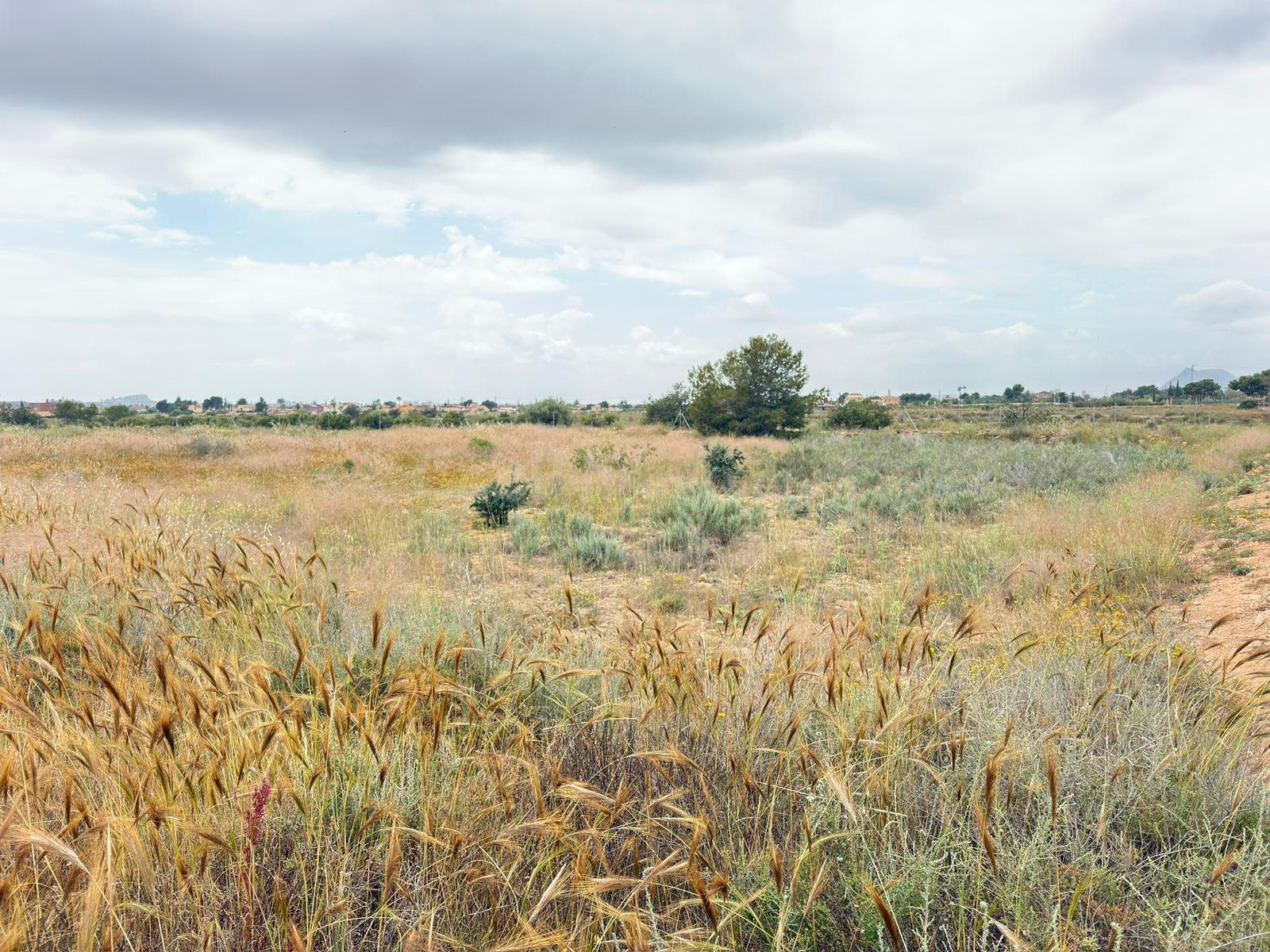 Parcela Rústica Agraria en Los Girasoles: Un Refugio Natural - foto 4