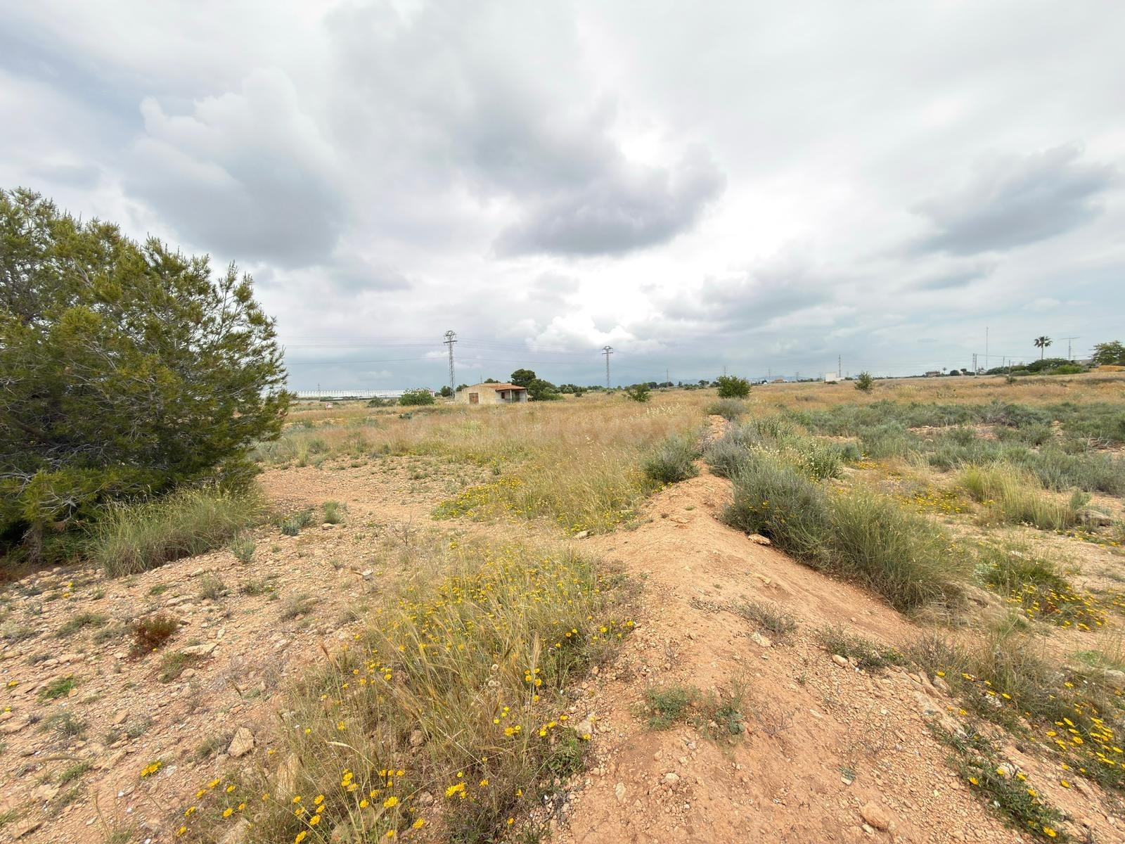 Parcela Rústica Agraria en Los Girasoles: Un Refugio Natural - foto 5