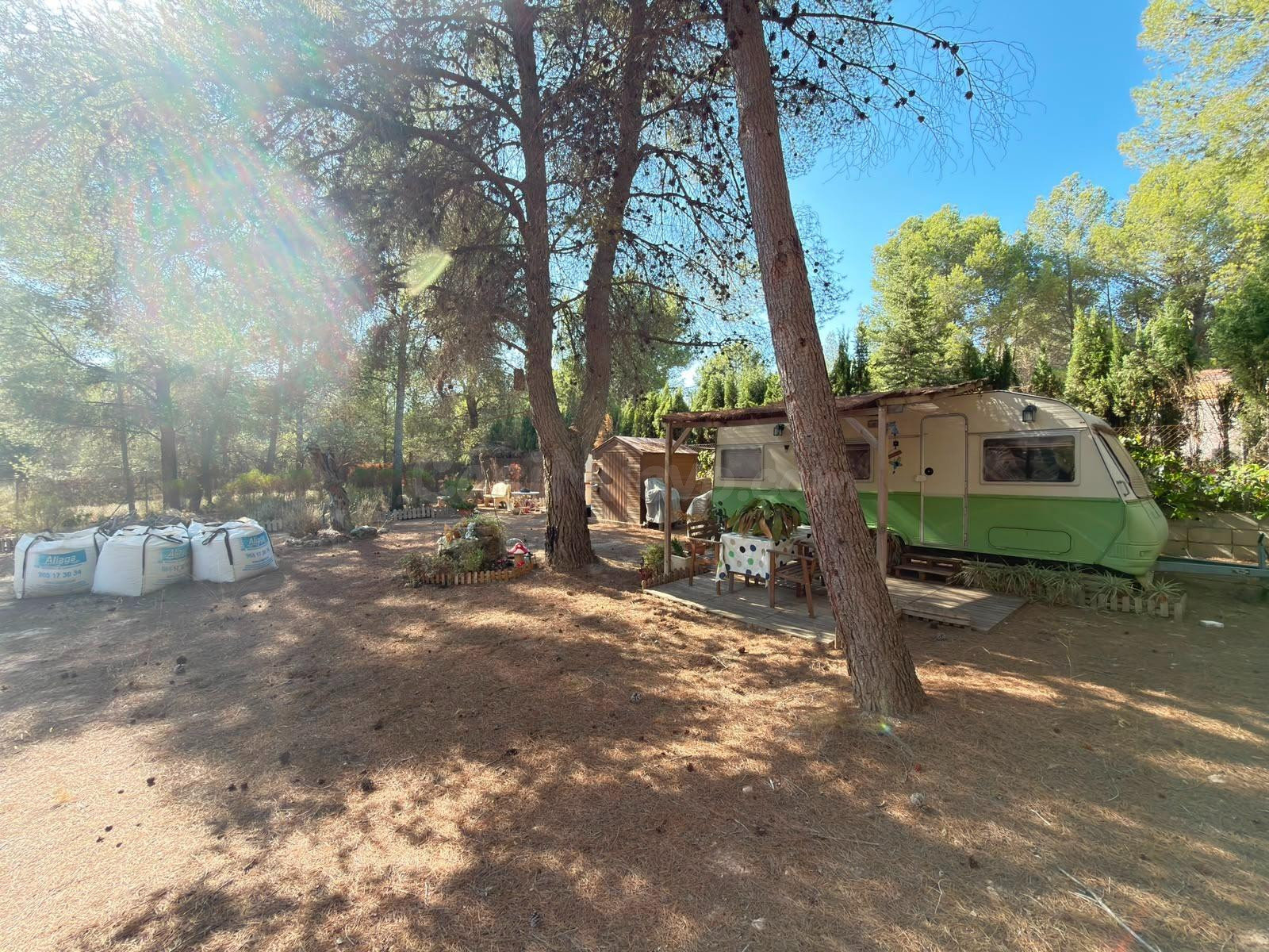 Encanto Natural: Mobil Home en Finca Terol, Tibi - foto 3