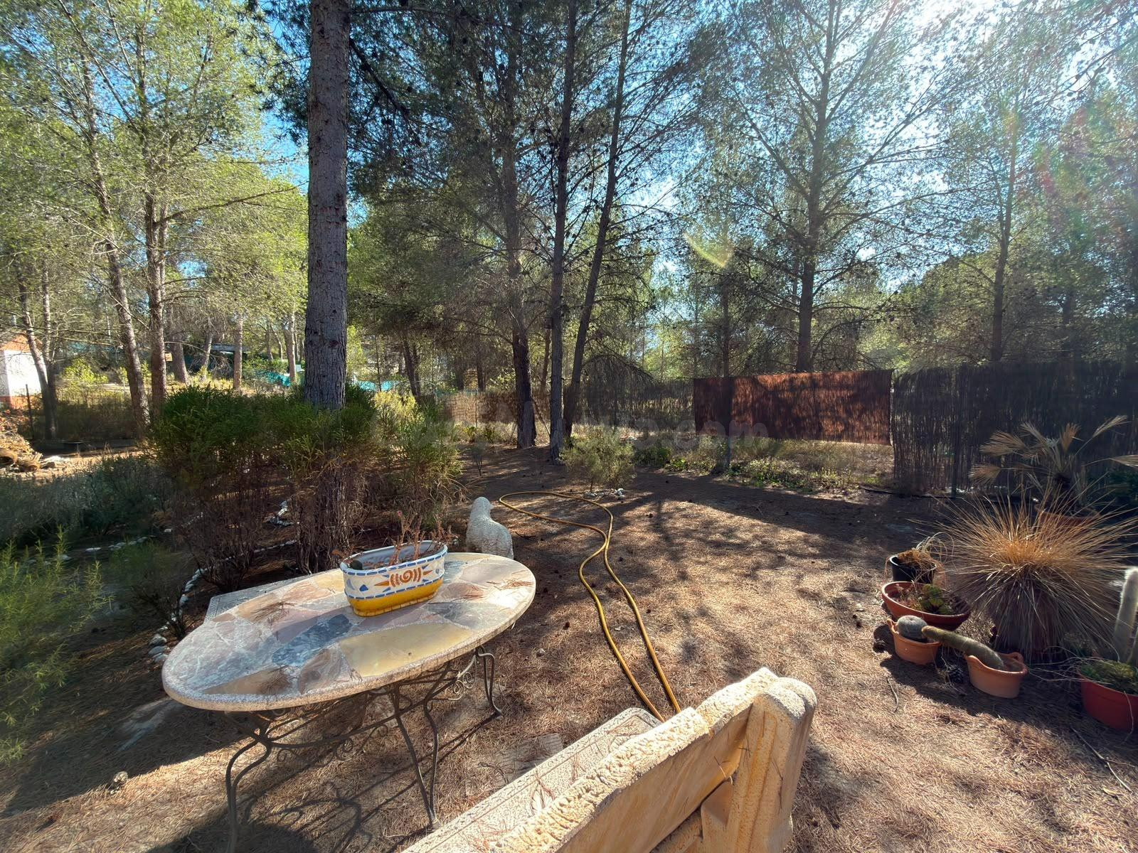 Encanto Natural: Mobil Home en Finca Terol, Tibi - foto 5