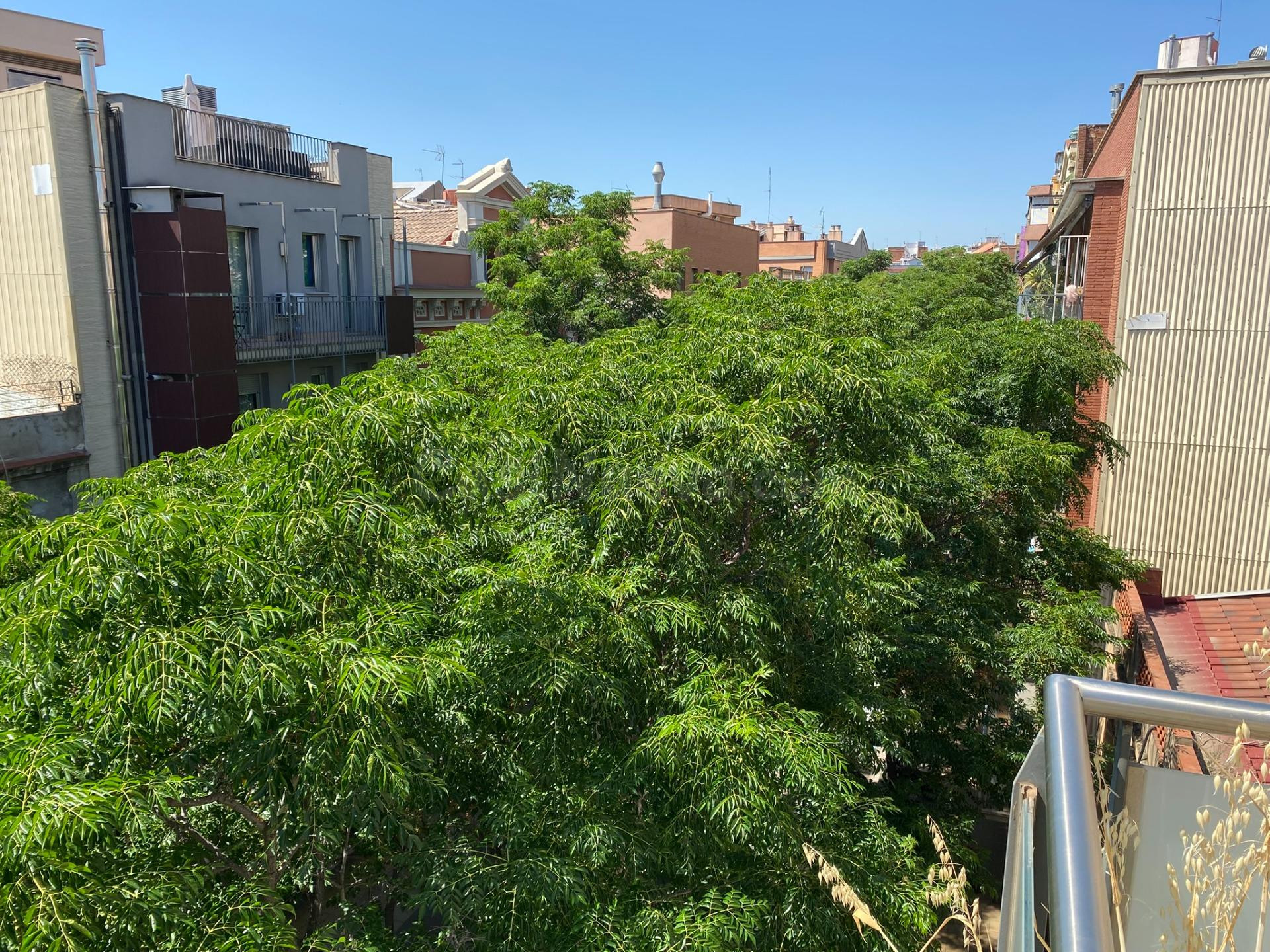 Atractivo piso en venta en Gran de la Sagrera, Barcelona por - foto 5