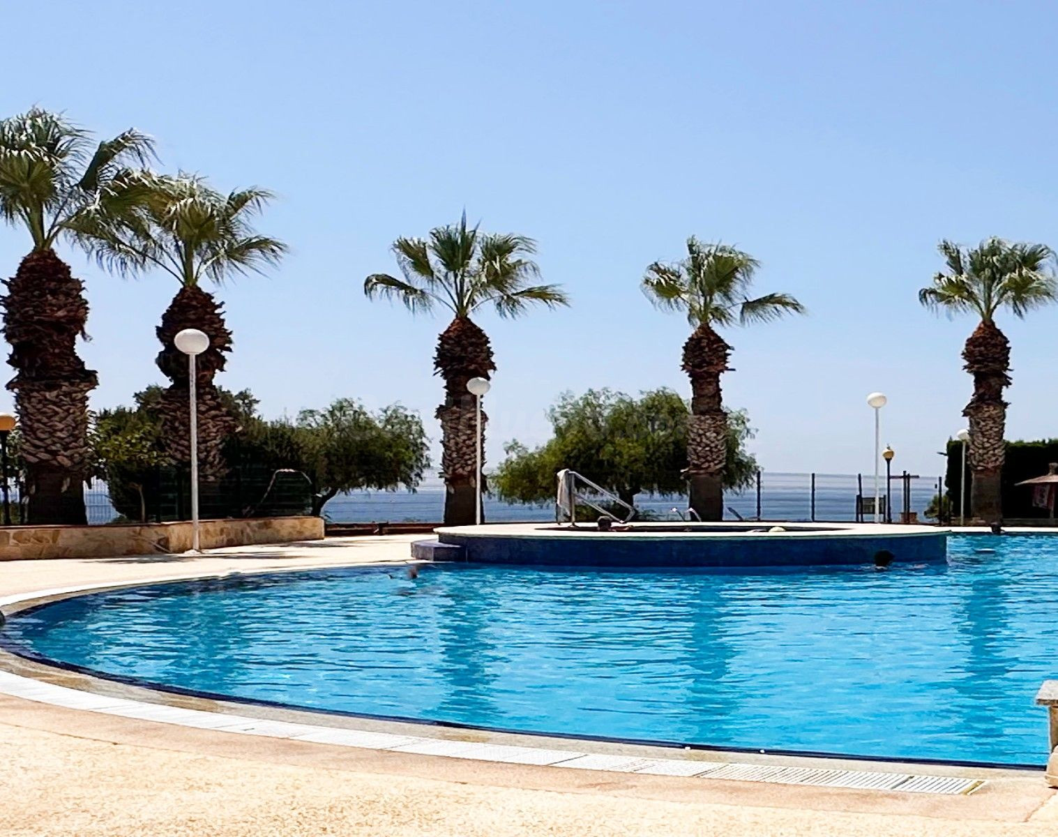 APARTAMENTO DE 2 DORMITORIOS 1 BAÑO EN AGUAMARINA ( ORIHUELA - foto 2