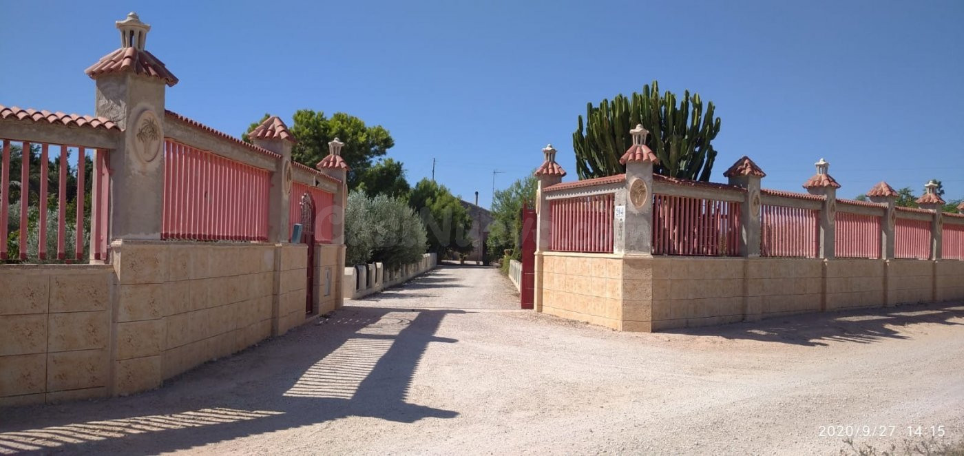 MAGNIFICA CASA DE CAMPO EN UNA DE LAS MEJORES PEDANIAS DE EL - foto 2
