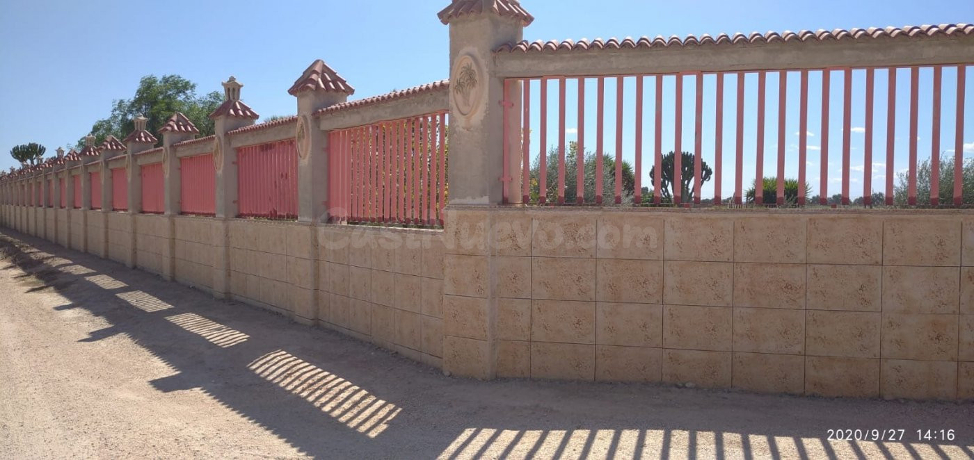 MAGNIFICA CASA DE CAMPO EN UNA DE LAS MEJORES PEDANIAS DE EL - foto 3