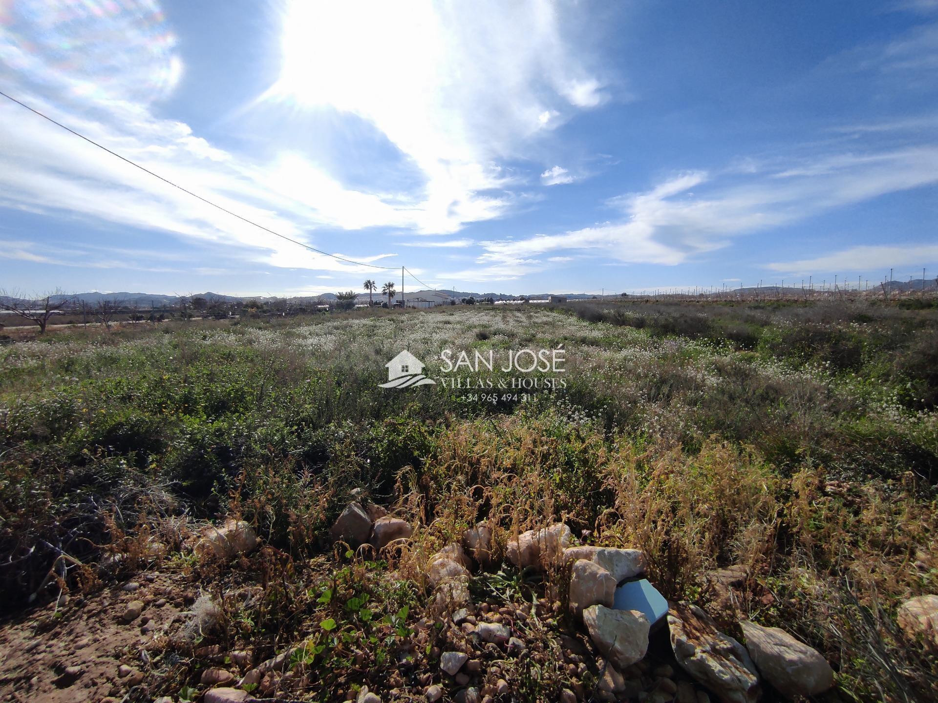 SE VENDE PARCELA 6654 M CON PUNTO DE LUZ Y AGUA DE RIEGO MUY