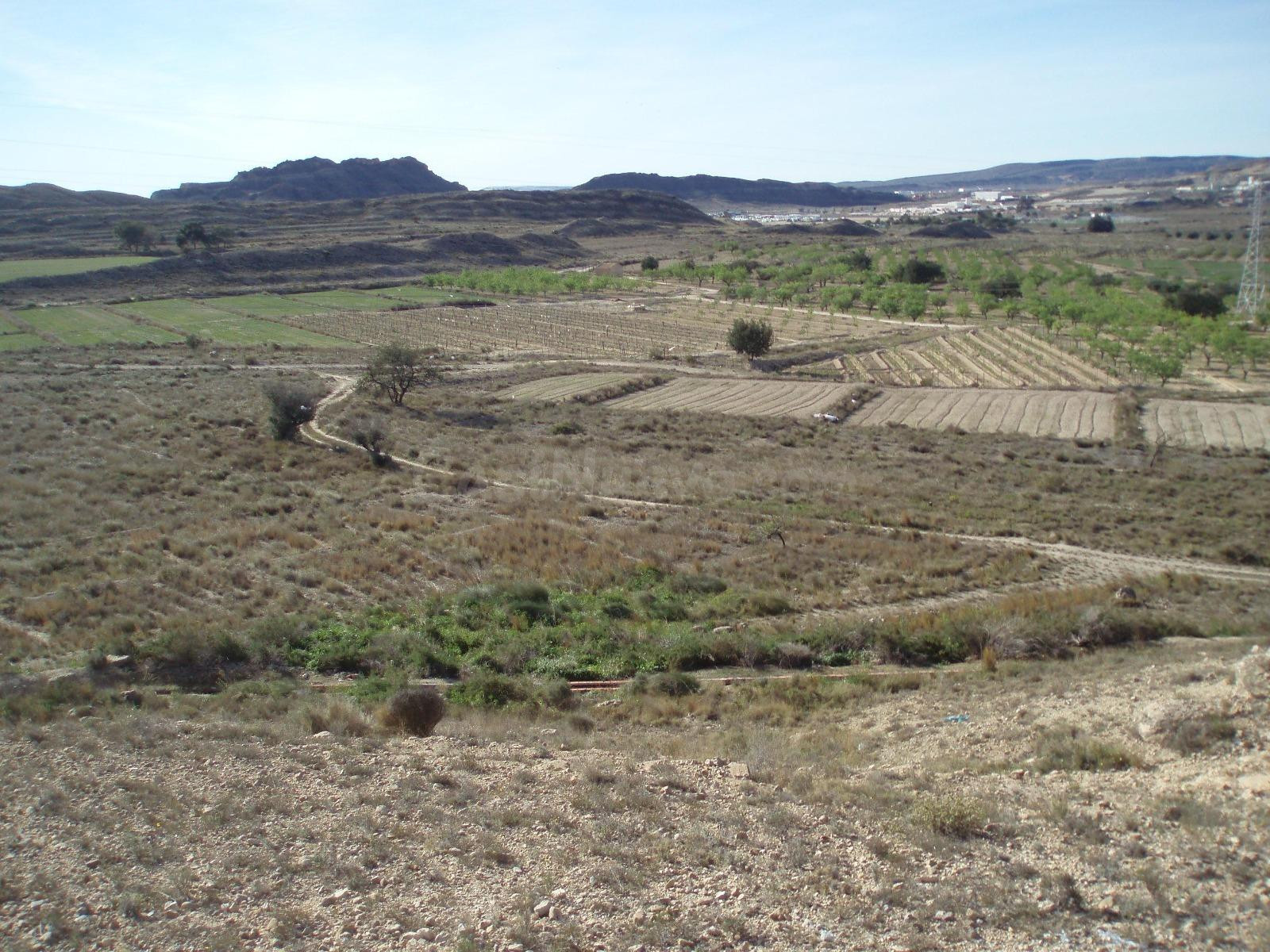 Parcela en venta - Ciudad de Asís - Font-Calent - El Bacarot - foto 5