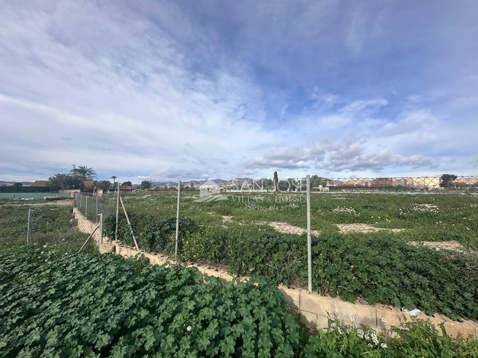 SE VENDE PARCELA RÚSTICA EN NOVELDA, ZONA CAMPET - foto 2