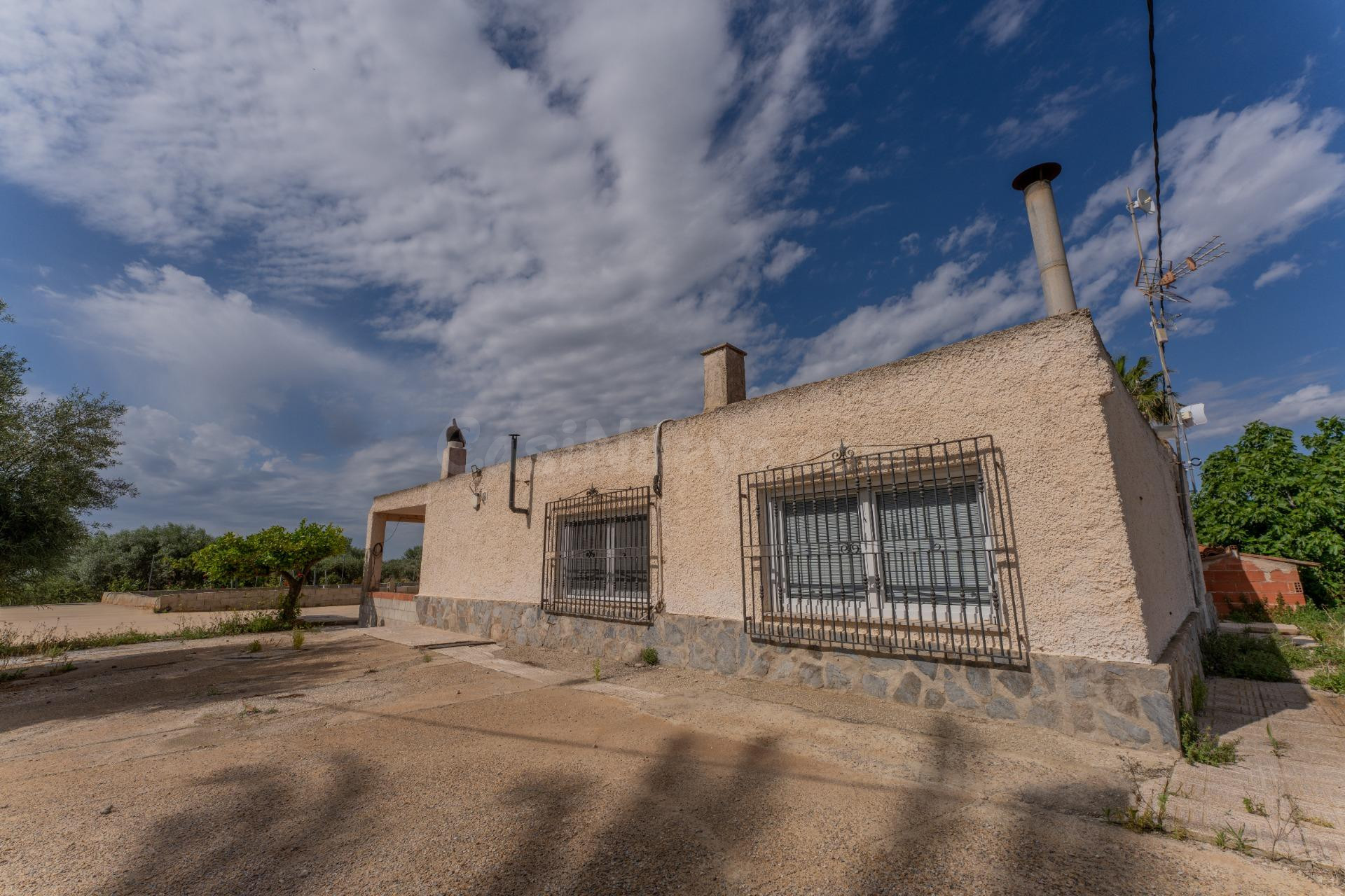 ¡Oasis de tranquilidad a 7 minutos de Elche! Gran parcela y  - foto 5