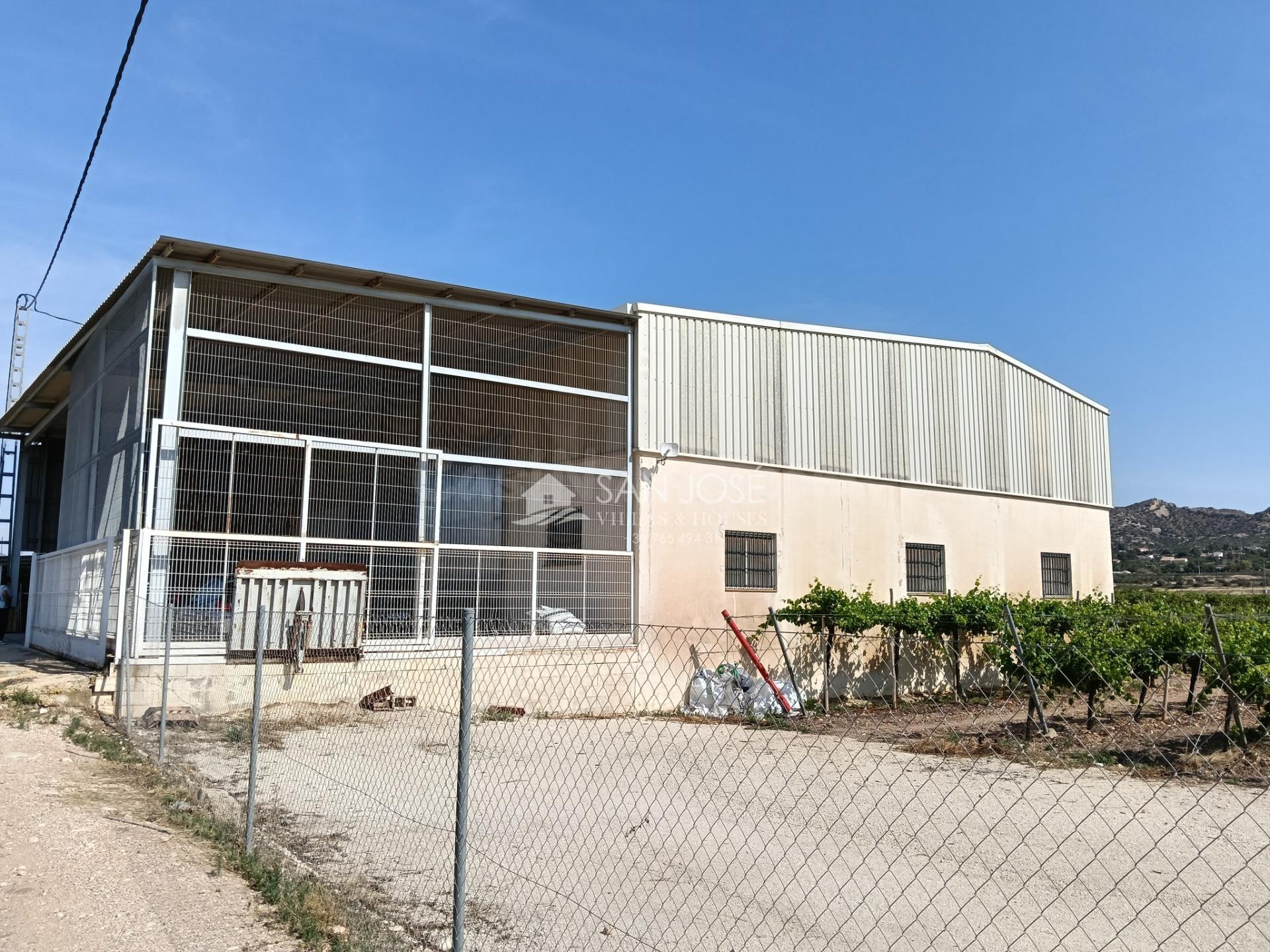 SE VENDE FINCA GRANDE CON NAVES AGRICOLAS PLANTADA DE VIÑEDO