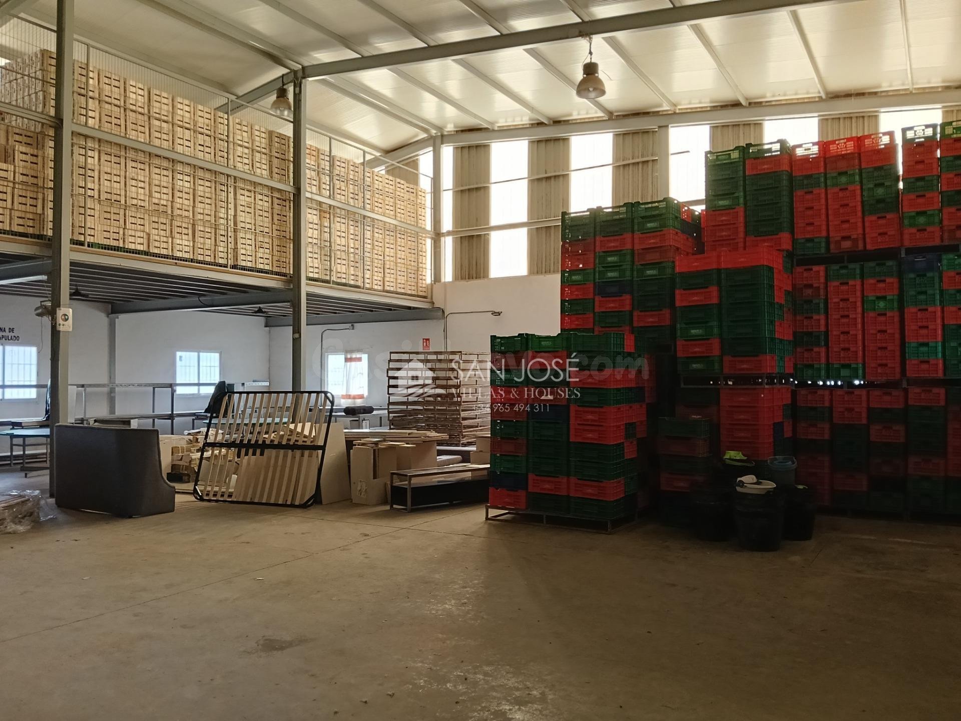 SE VENDE FINCA GRANDE CON NAVES AGRICOLAS PLANTADA DE VIÑEDO - foto 3