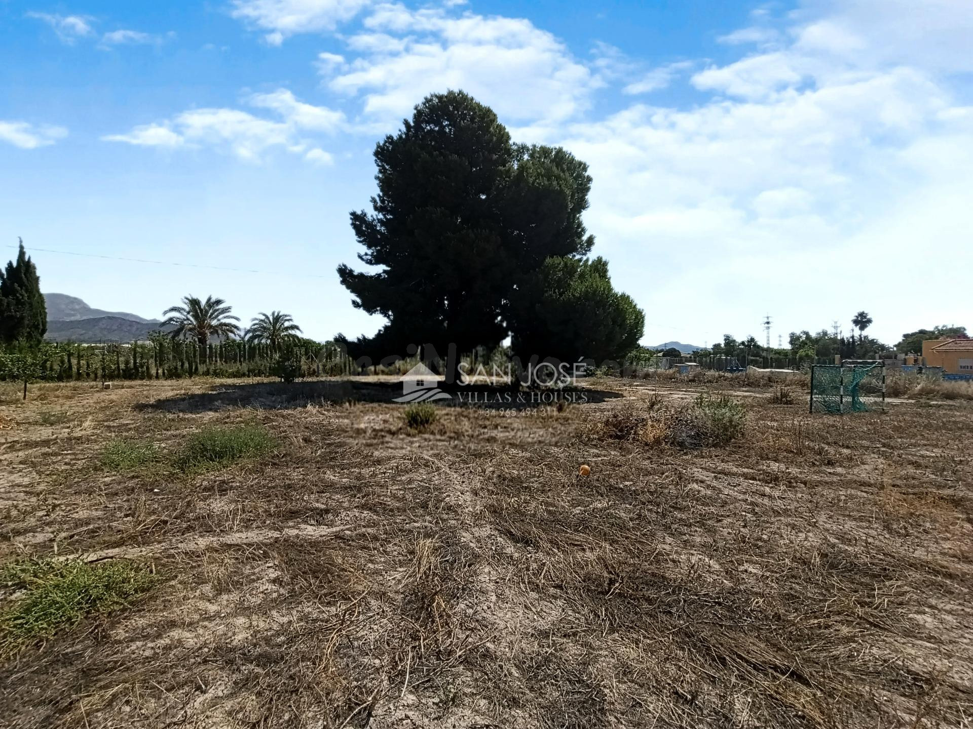 SE VENDE TERRENO RÚSTICO EN CAMPET (NOVELDA) A 1 MINUTO DEL  - foto 3