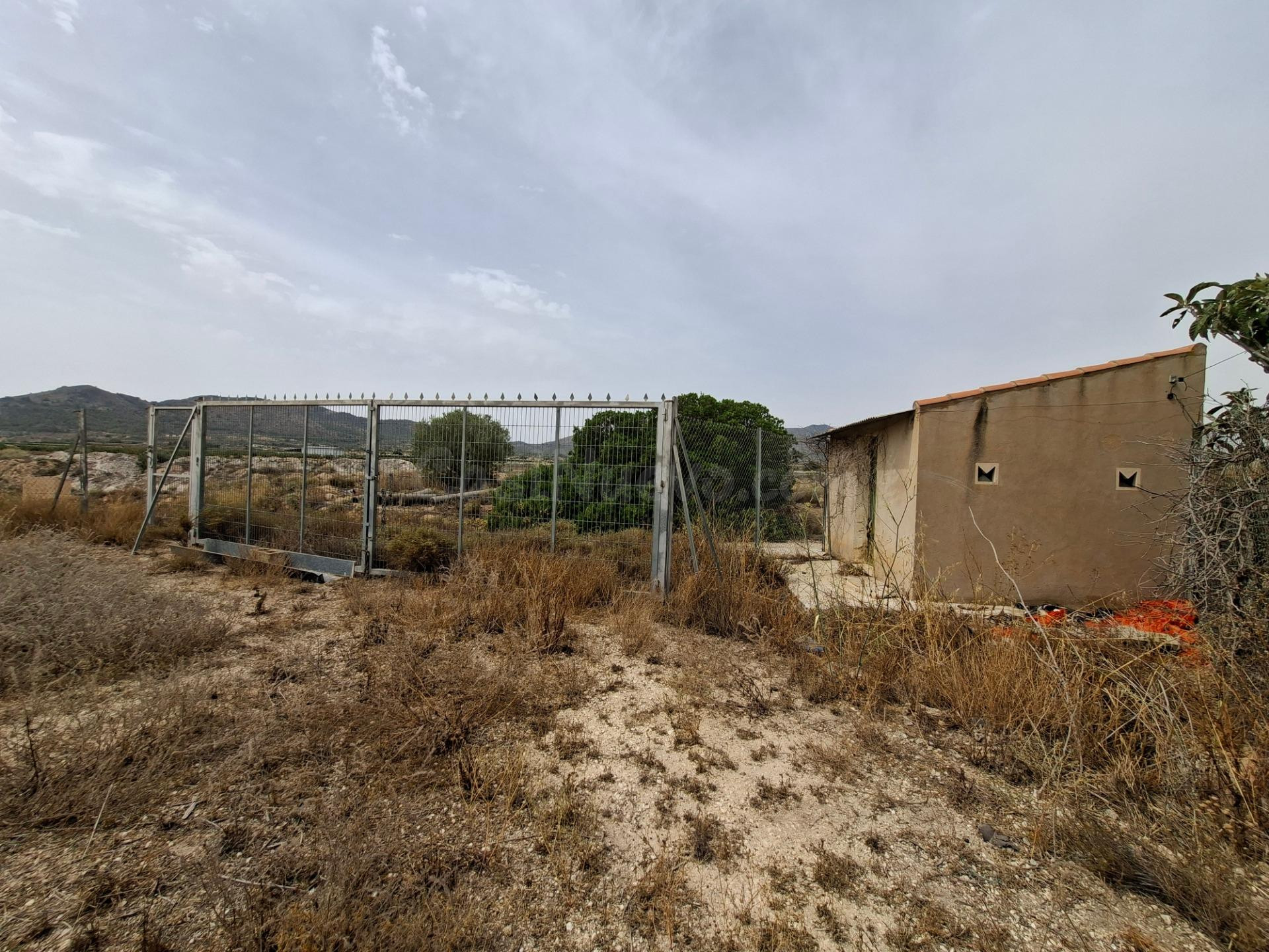 ¡¡ VENTA PARCELA EDIFICABLE 11371 m2 EN LA ROMANA !!