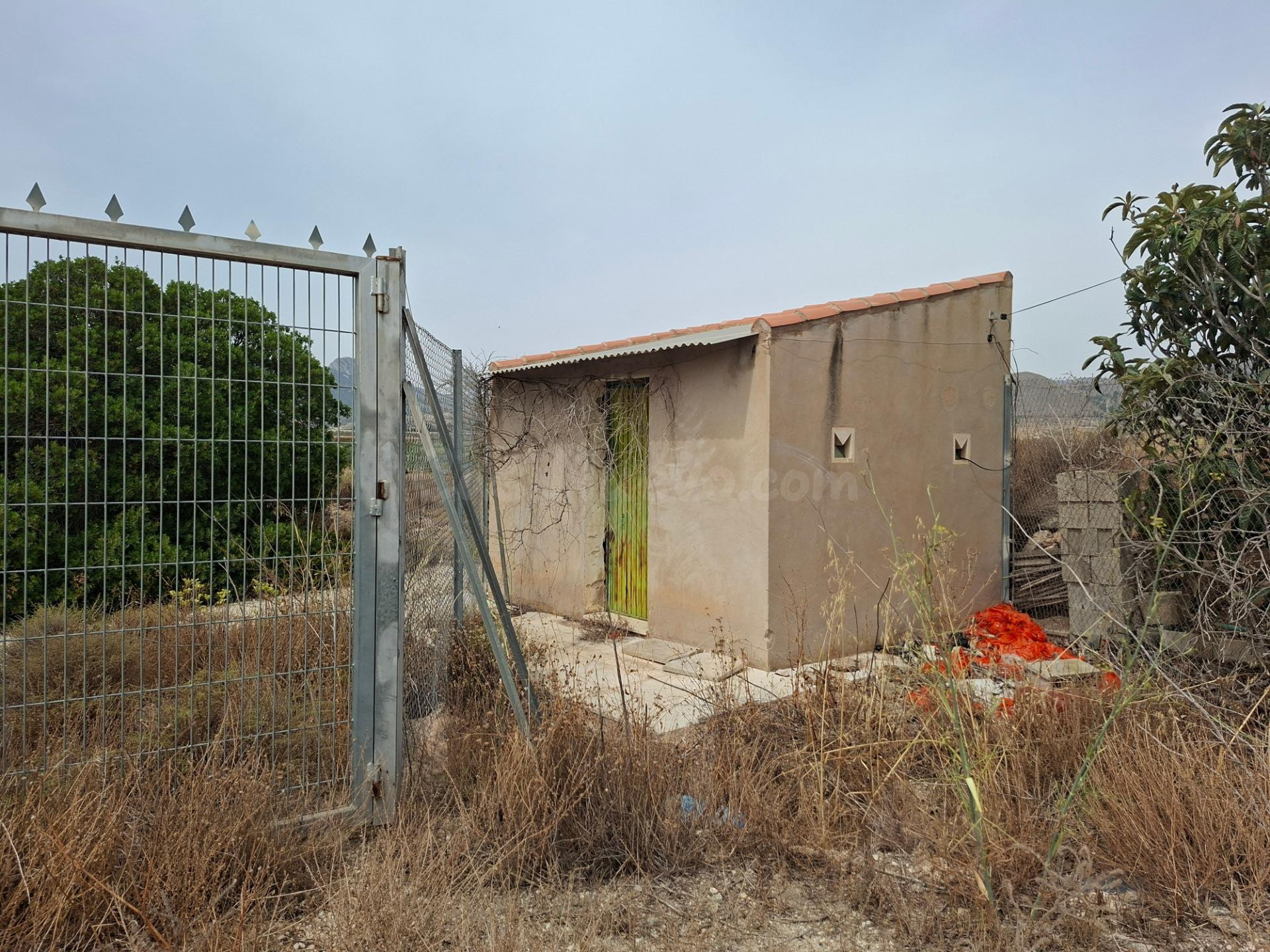 ¡¡ VENTA PARCELA EDIFICABLE 11371 m2 EN LA ROMANA !! - foto 2