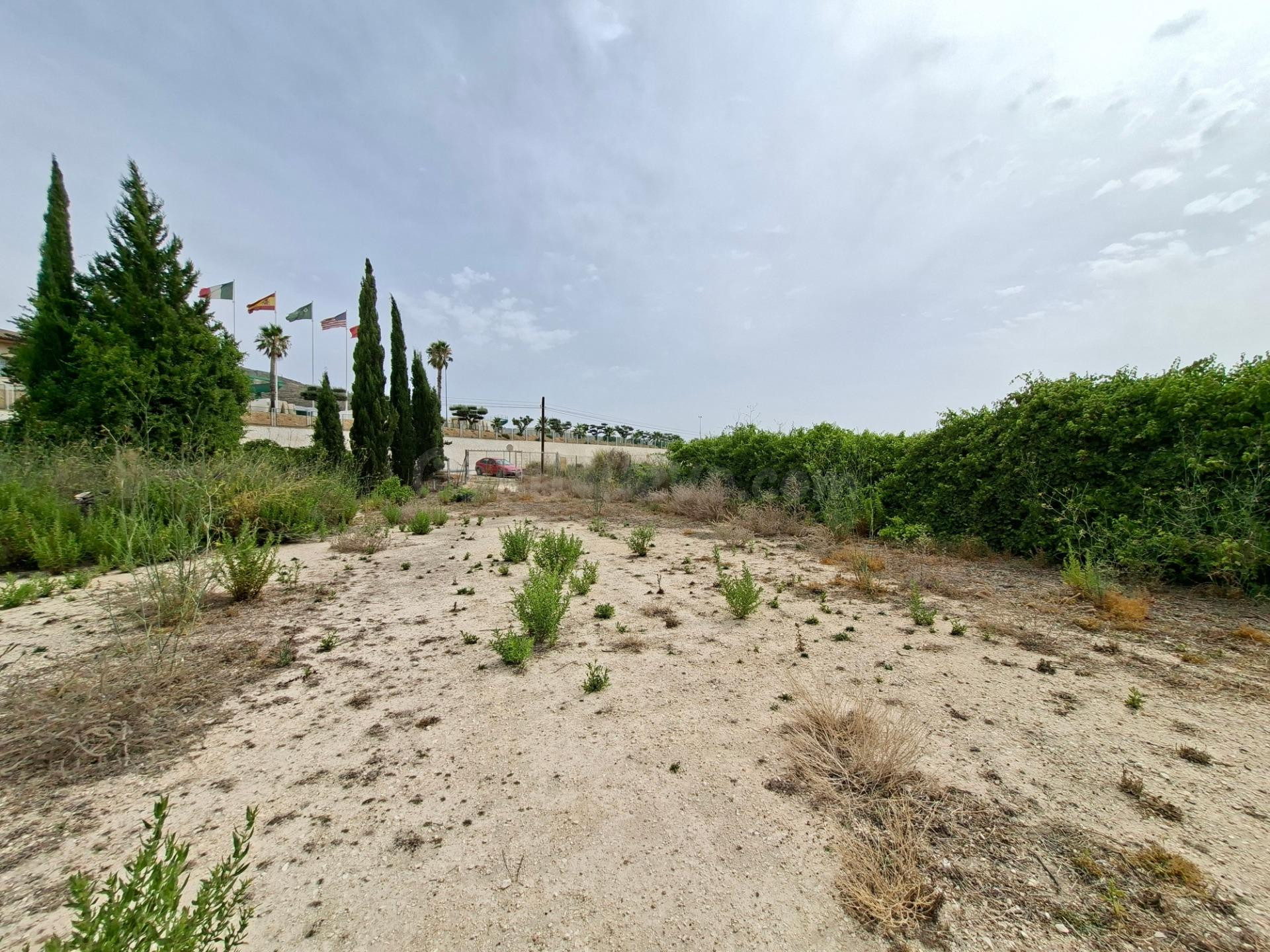 ¡¡ VENTA PARCELA EDIFICABLE 11371 m2 EN LA ROMANA !! - foto 4