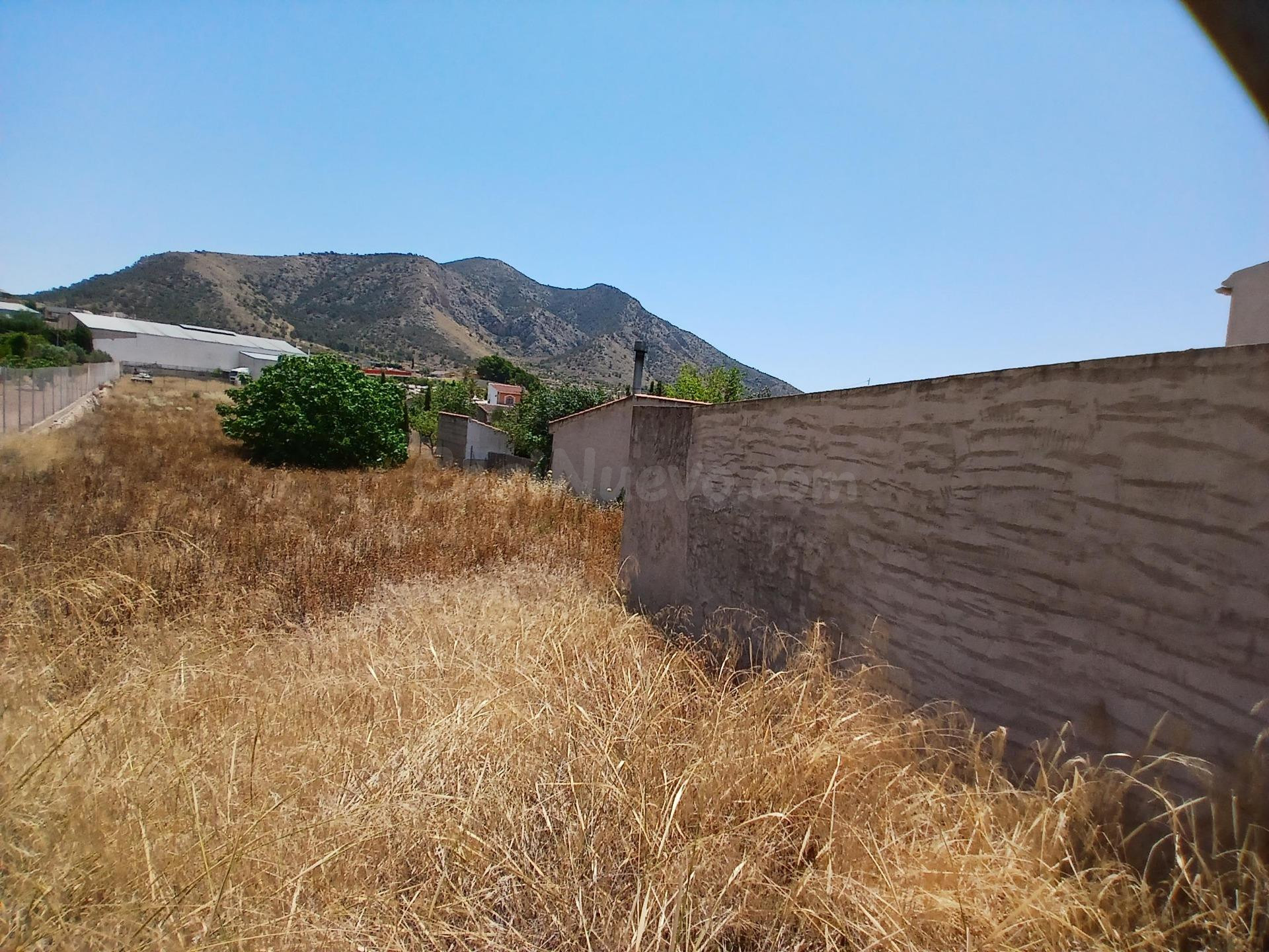 ¡¡ EN VENTA PARCELA URBANA DE 1426m2 EN LA ALGUEÑA !! - foto 4