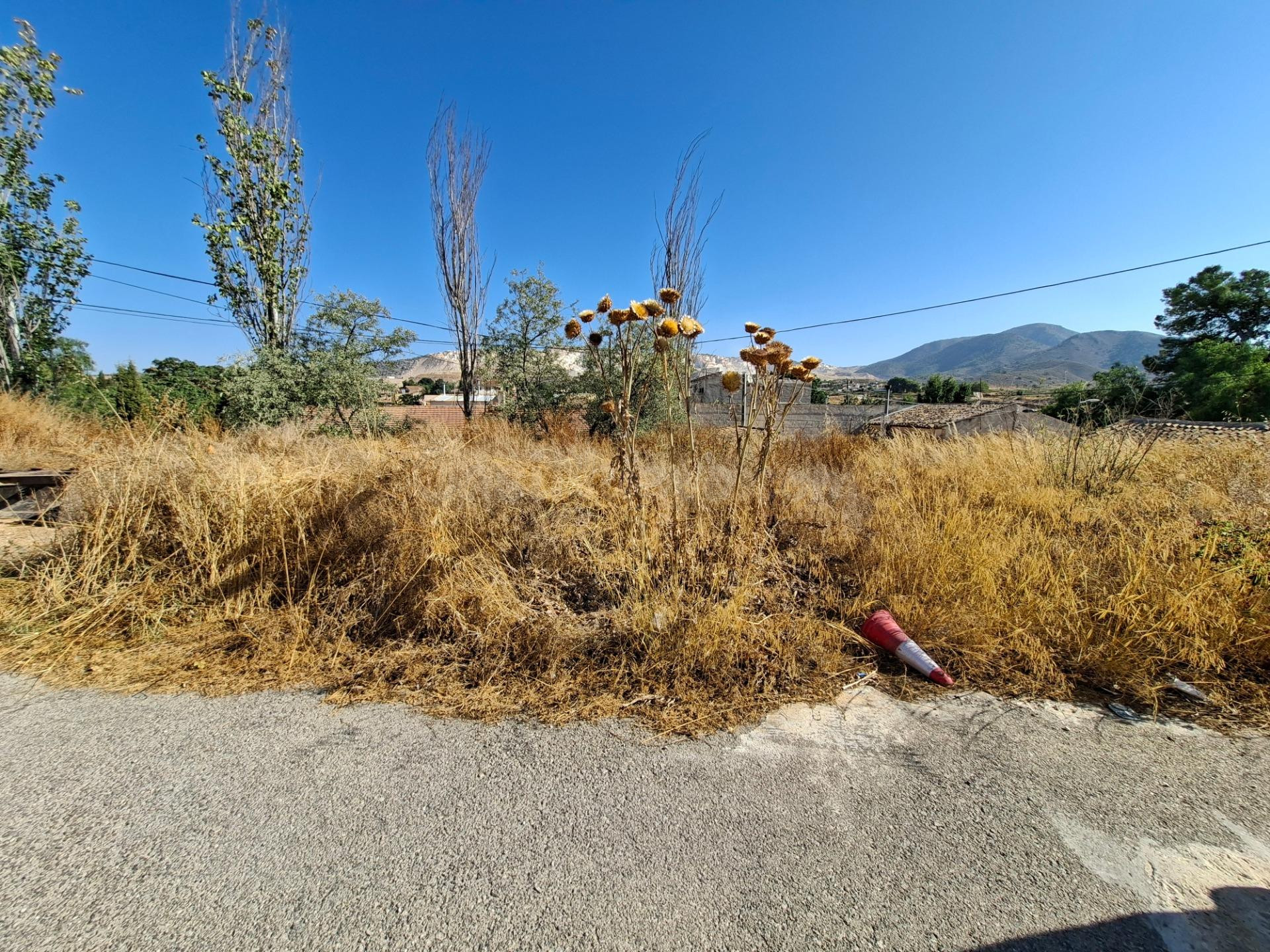 ¡ CASA CON TERRENO EN ALGUEÑA ! - foto 5