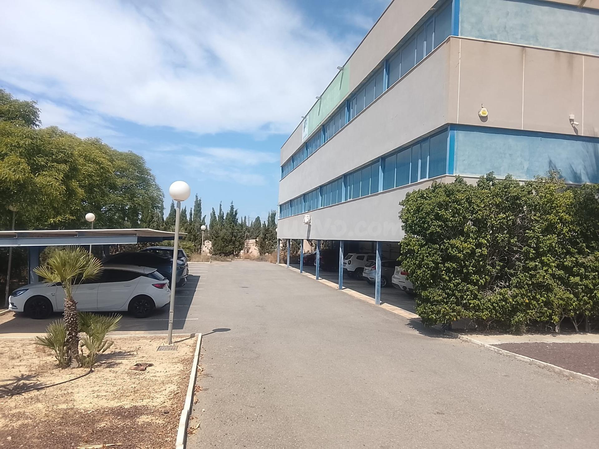 Nave de 4.400 m2 en parcela de 22.000 m2 en carretera de Ali