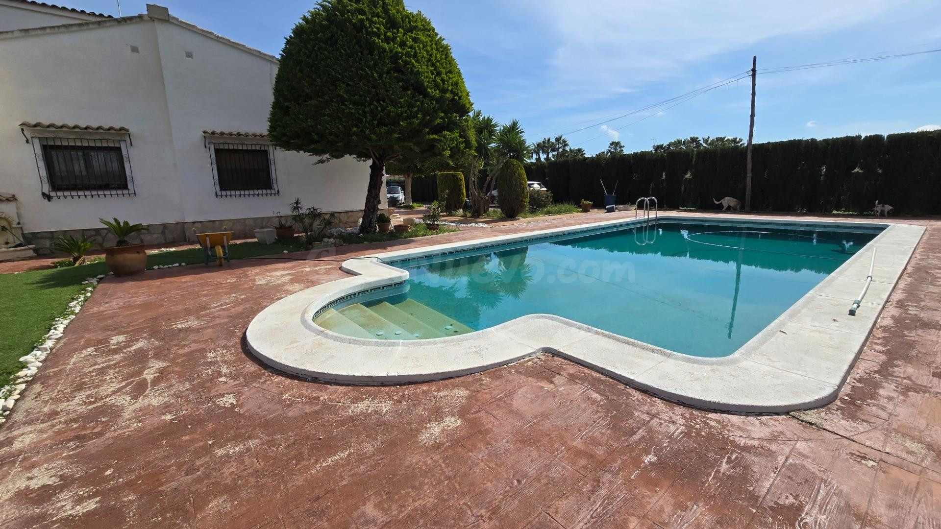 Impresionante  Chalet en Algoros a 5 minutos de Elche - foto 3