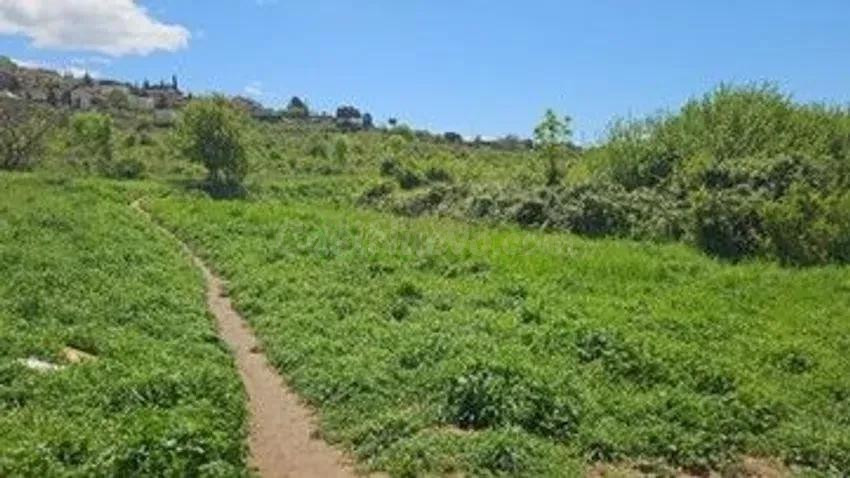 Se vende terreno urbanizable OKUPA en Canal Industrial Sud d