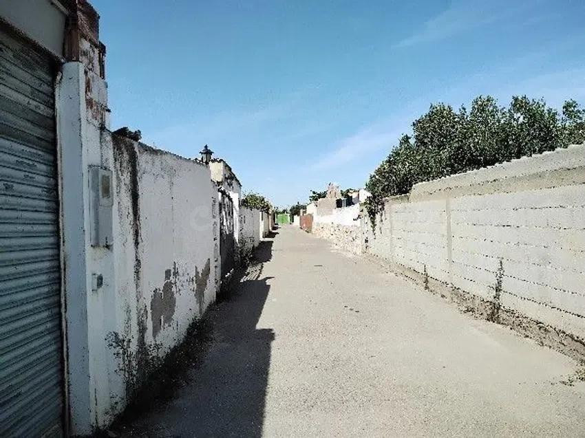 Se vende casa independiente OKUPADA en Camino Alto Torre Hos