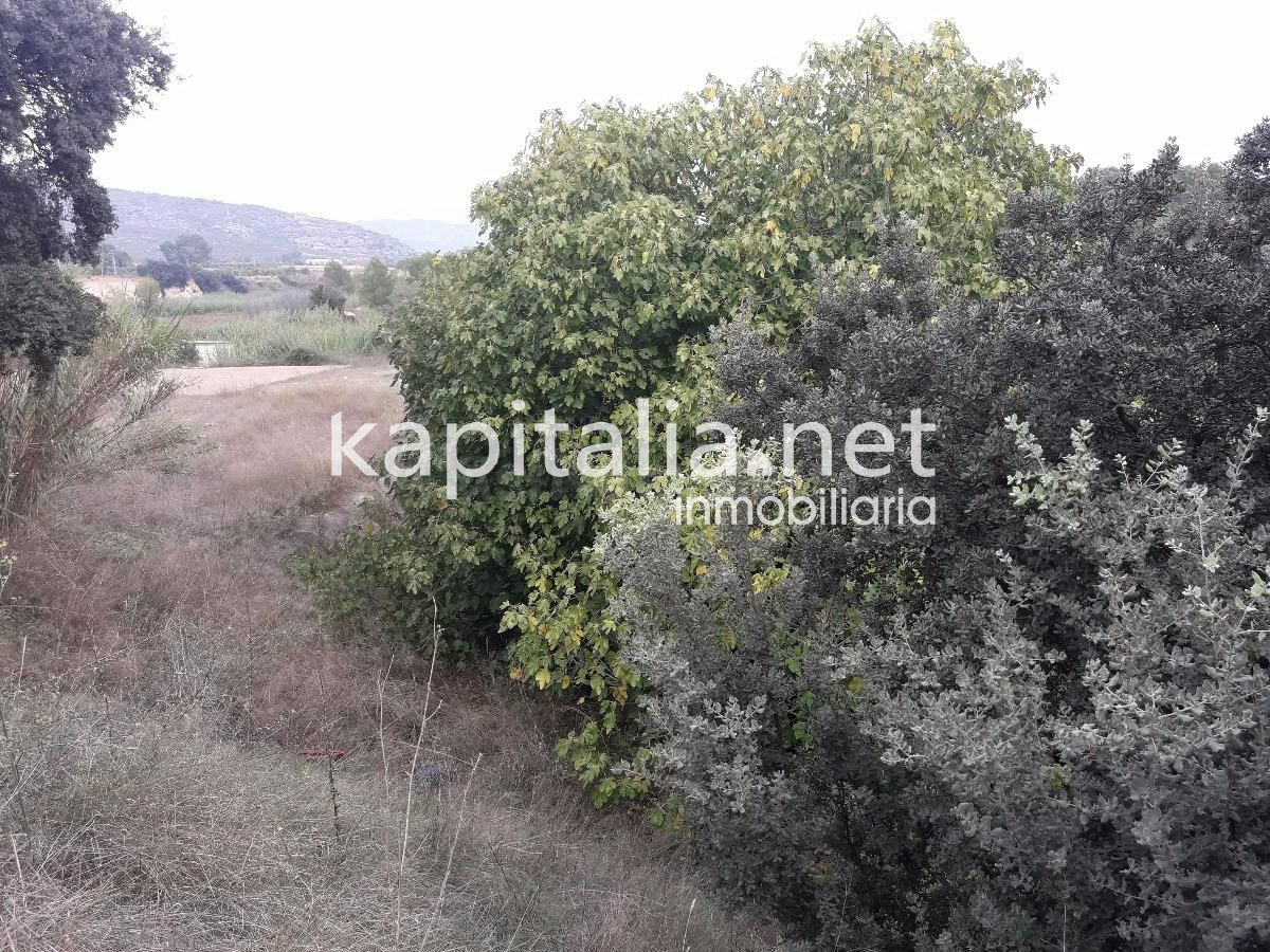 TERRENO HUERTA EN VENTA - foto 4