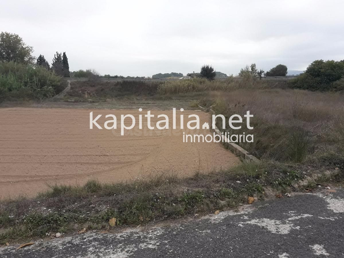 TERRENO HUERTA EN VENTA - foto 5