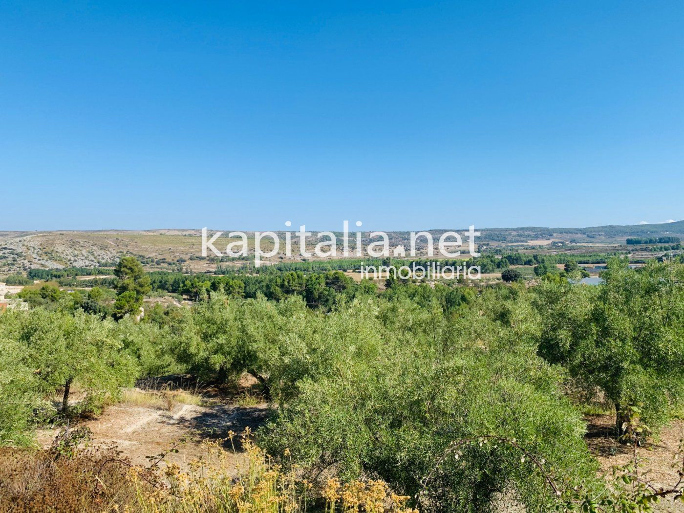 Parcela a la venta en Alfafara. - foto 2