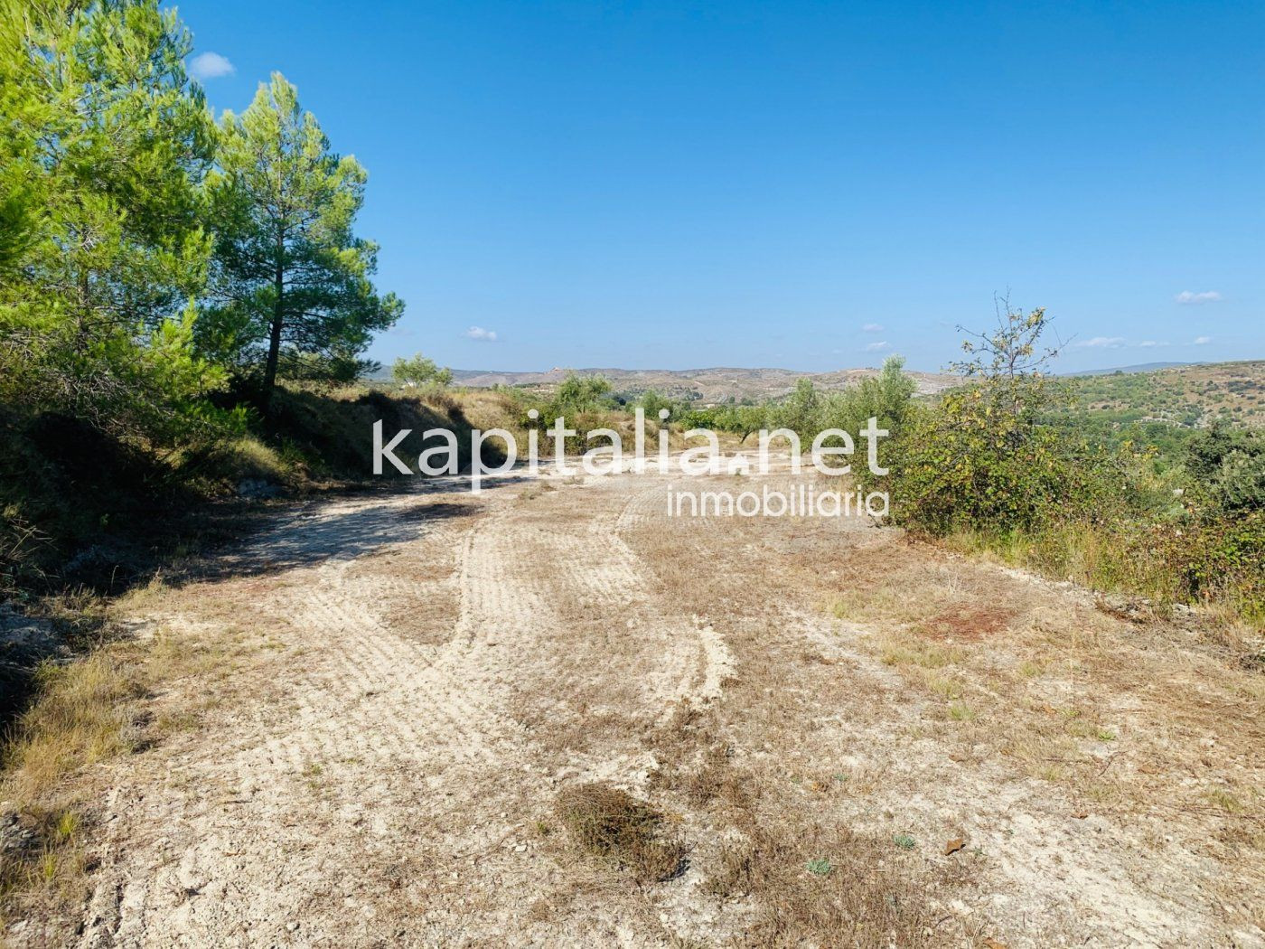 Parcela a la venta en Alfafara. - foto 5