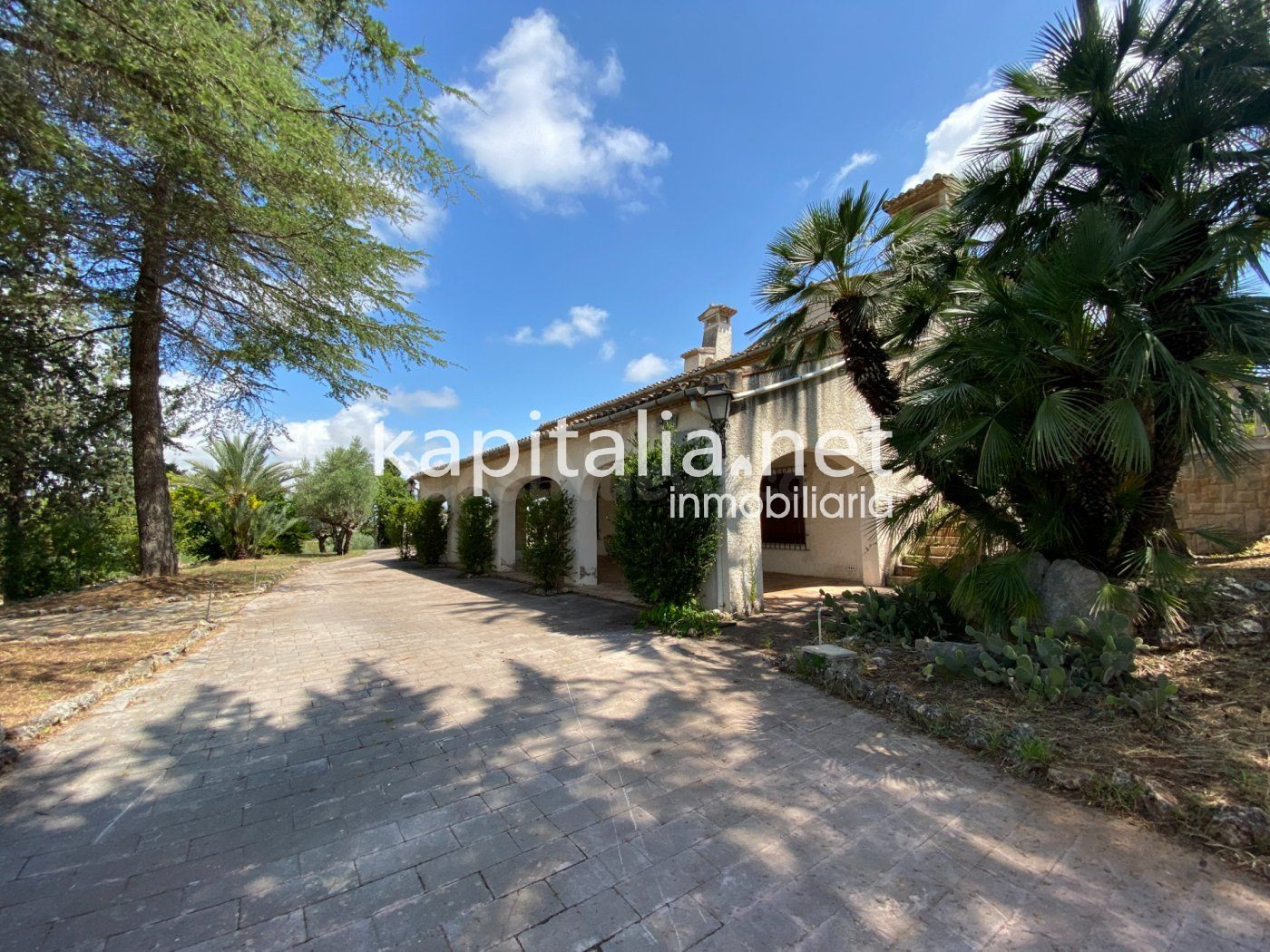 ESPECTACULAR FINCA A LA VENTA EN ALBAIDA - foto 2