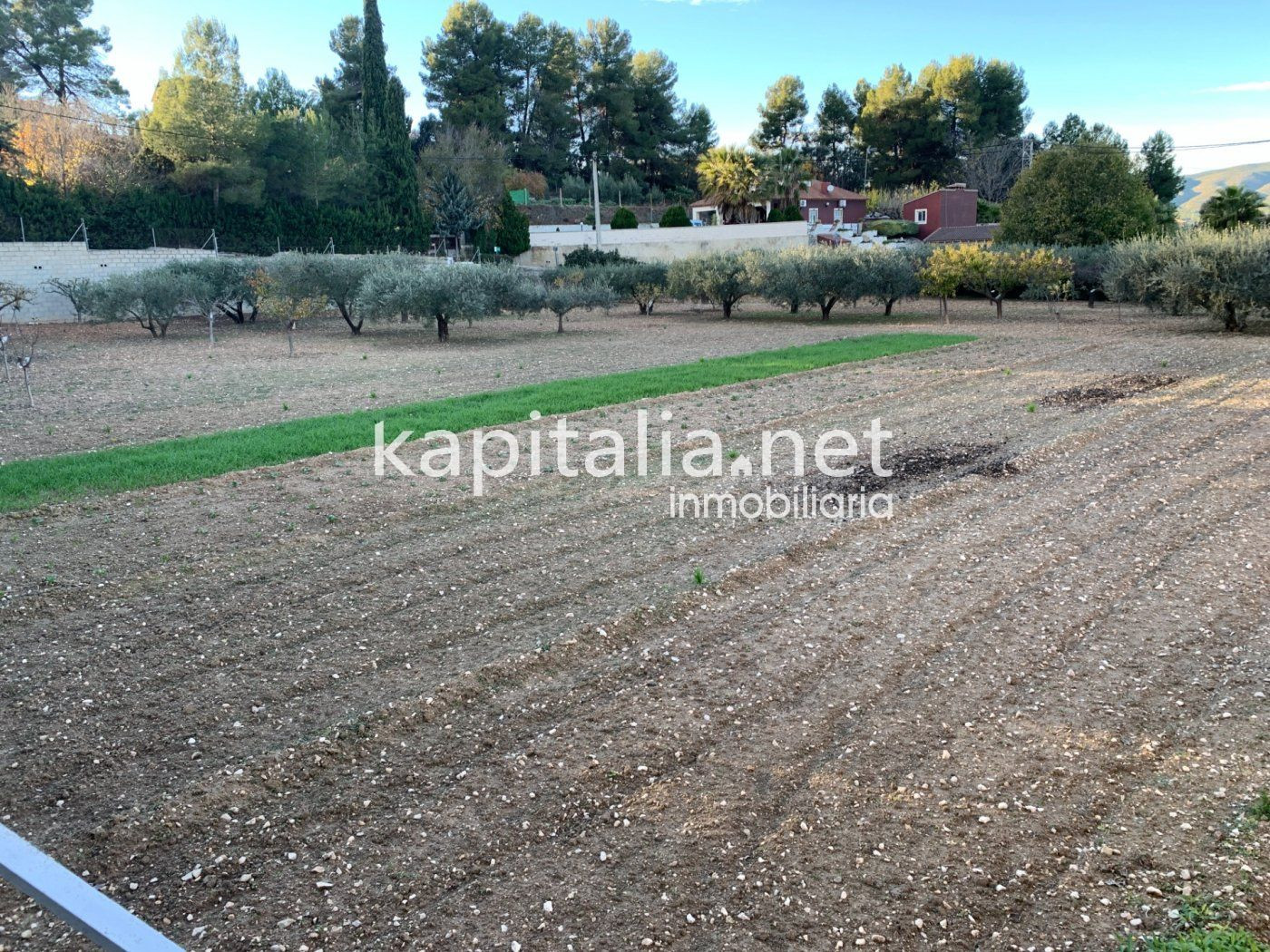 Casa de campo con acuífero propio y con terreno para cultiva - foto 4
