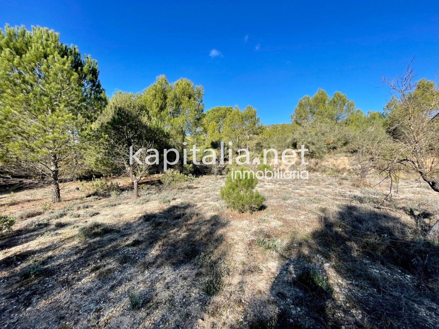 Terreno a la venta en Bocairent. - foto 3