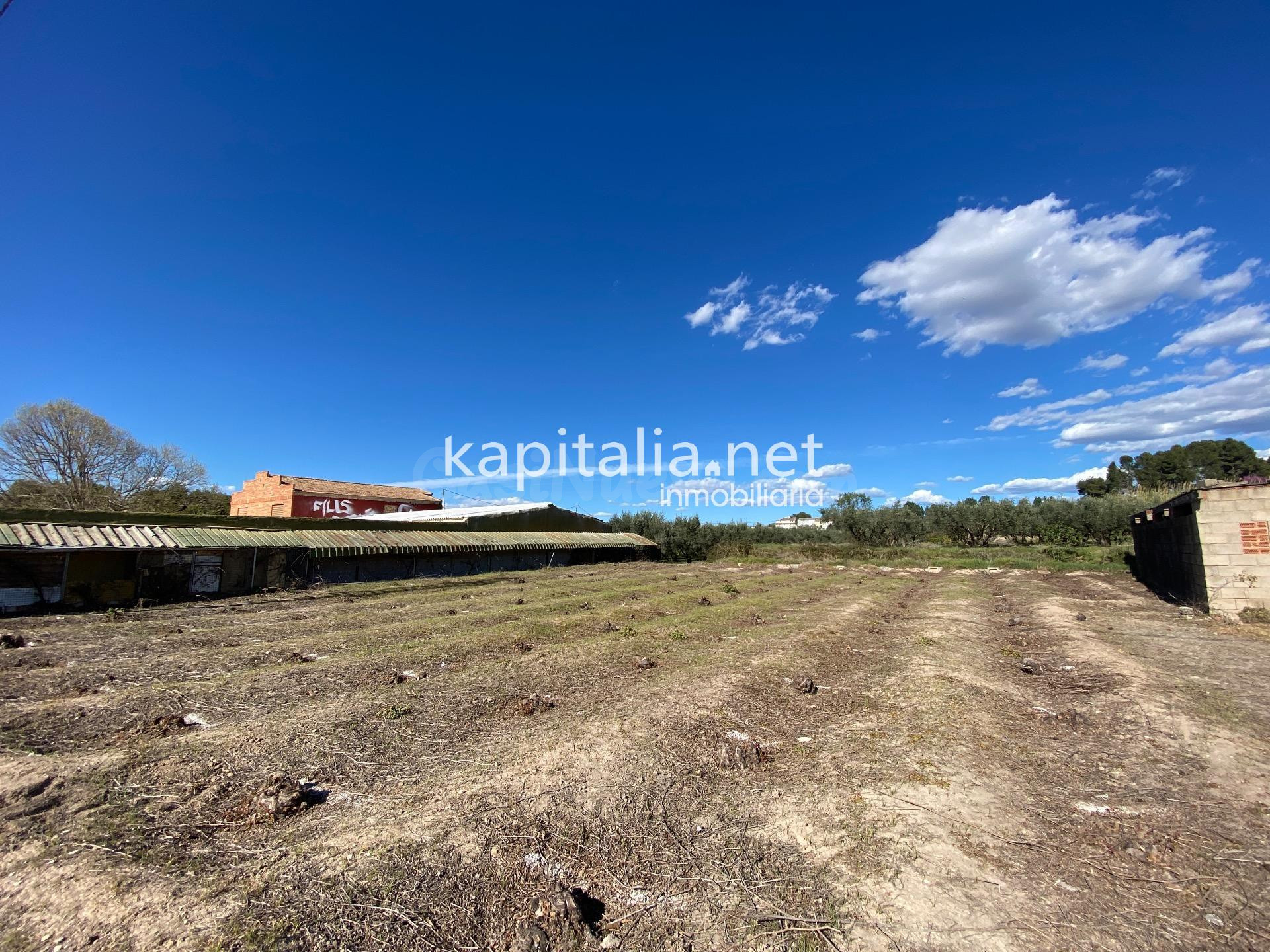 Terrenos agrícolas en venta en Ontinyent - foto 2