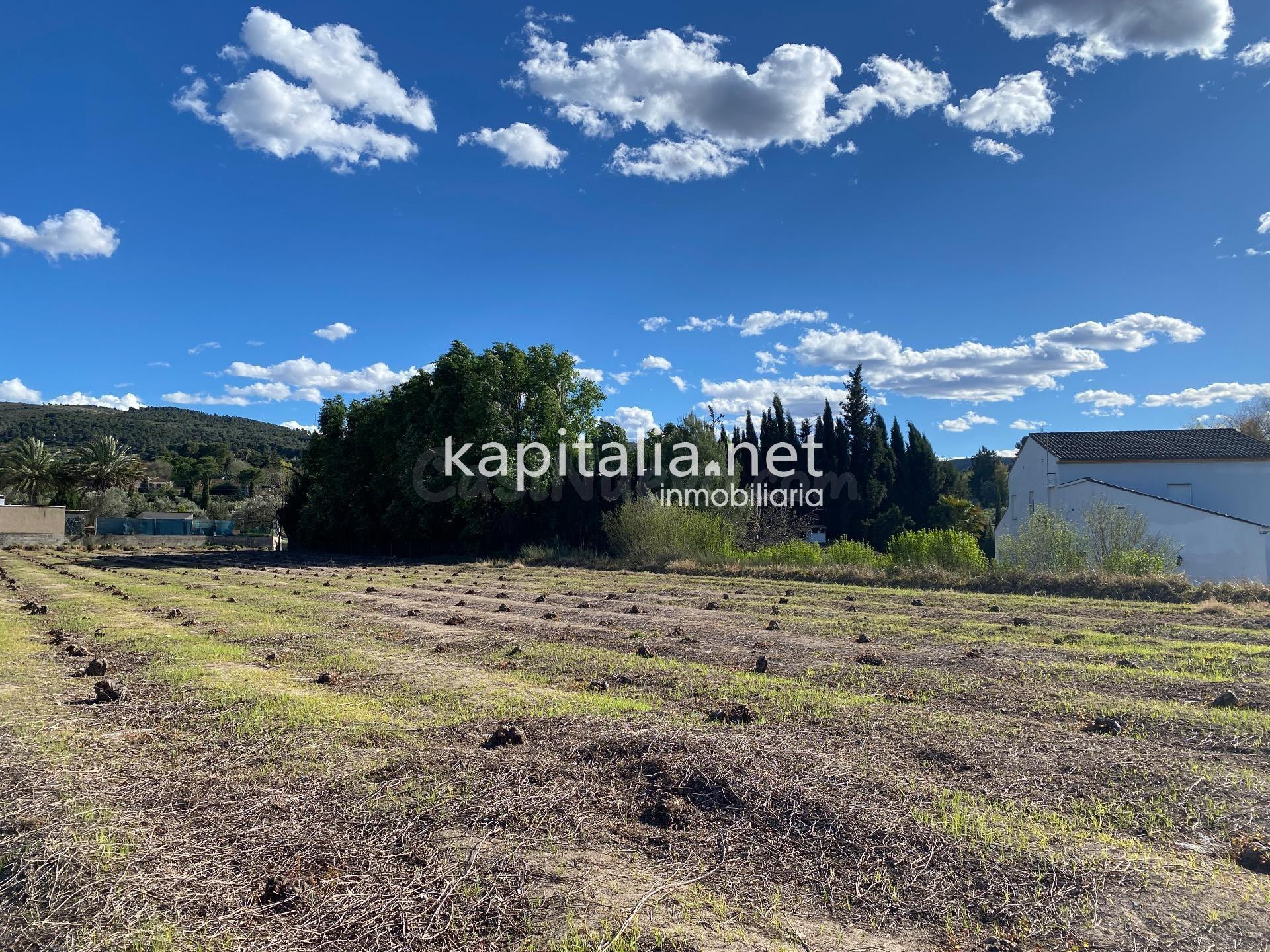 Terrenos agrícolas en venta en Ontinyent - foto 3