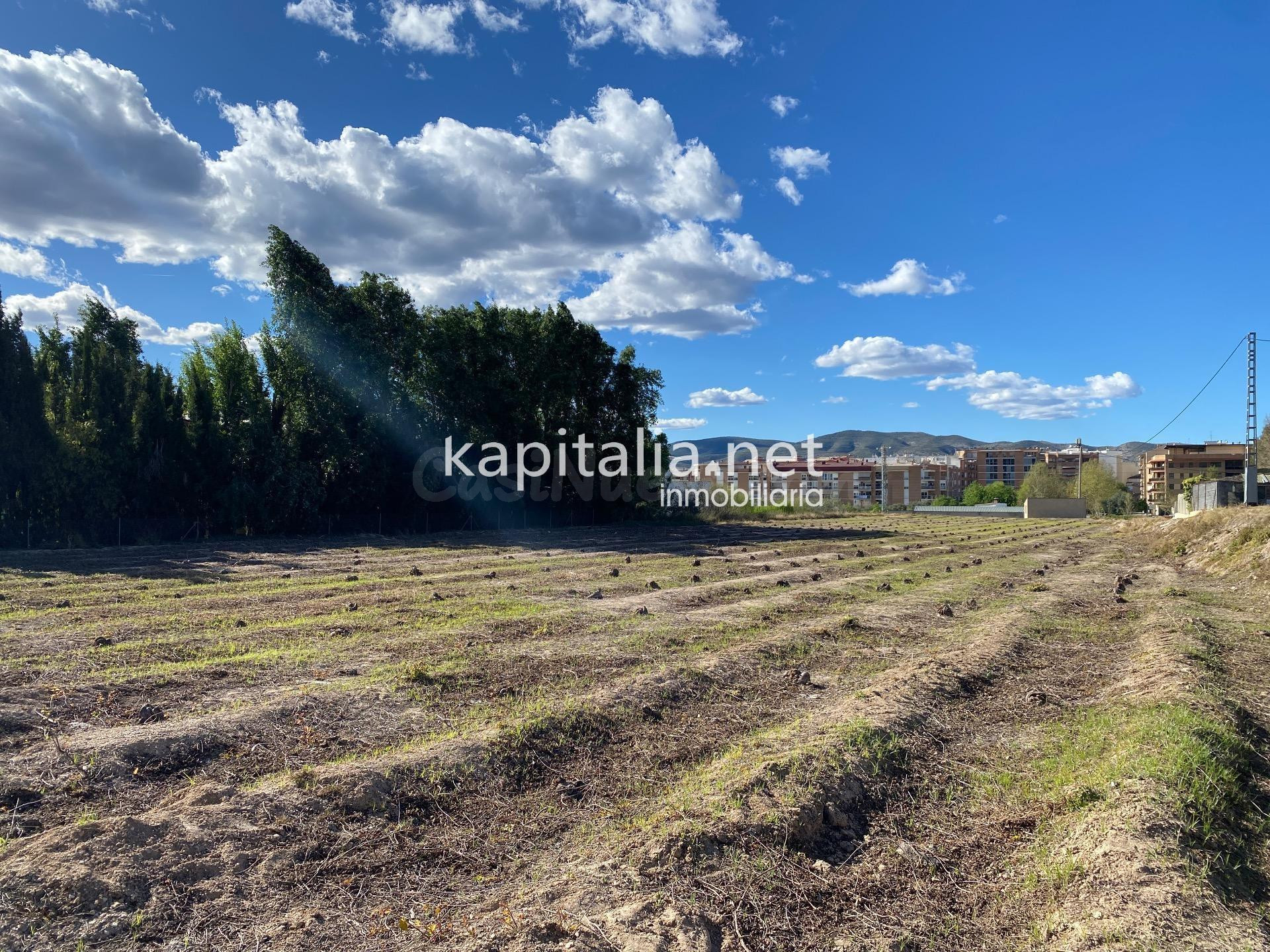 Terrenos agrícolas en venta en Ontinyent - foto 4