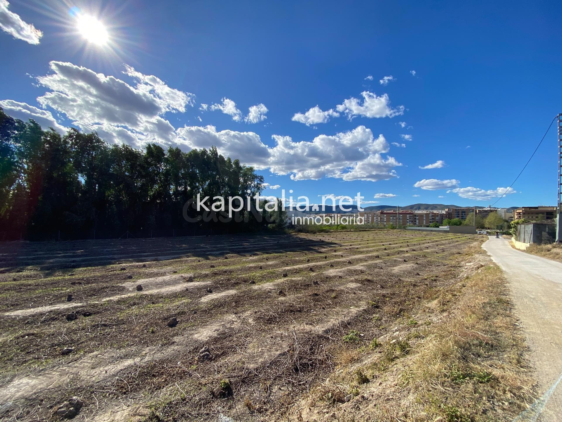 Terrenos agrícolas en venta en Ontinyent - foto 5