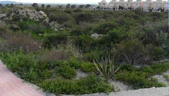 SOLA COMERCIAL EN LA MARINA –REF-19 A