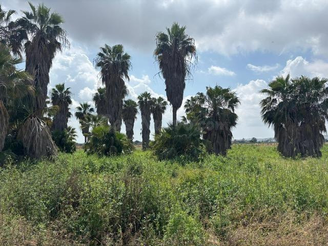 TIERRA EN SAN FULGENCIO-REF-23 A