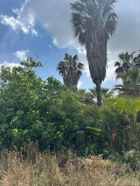 TIERRA EN SAN FULGENCIO-REF-23 A - foto 4