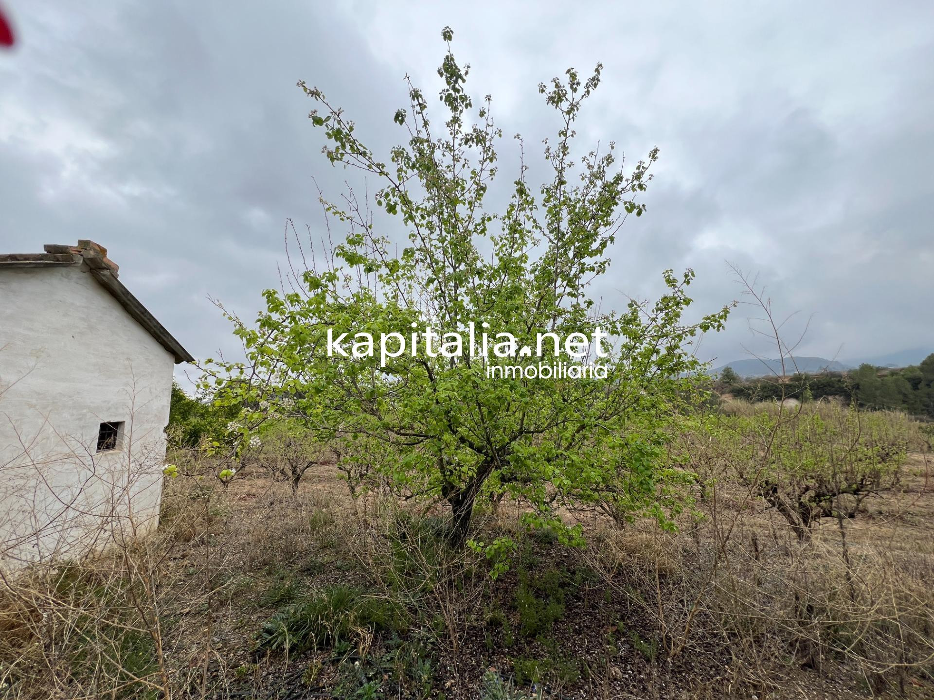 Parcela a la venta en Albaida - foto 3