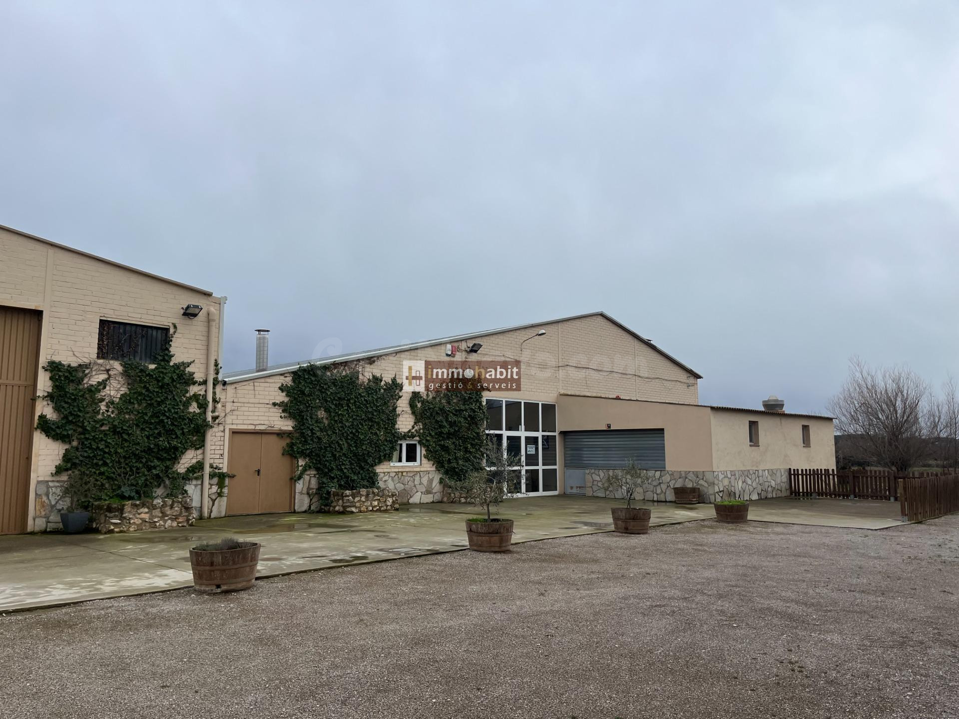 OPORTUNIDAD ÚNICA EN PUIGVERD / ESPACIO, NATURALEZA Y GRANDE